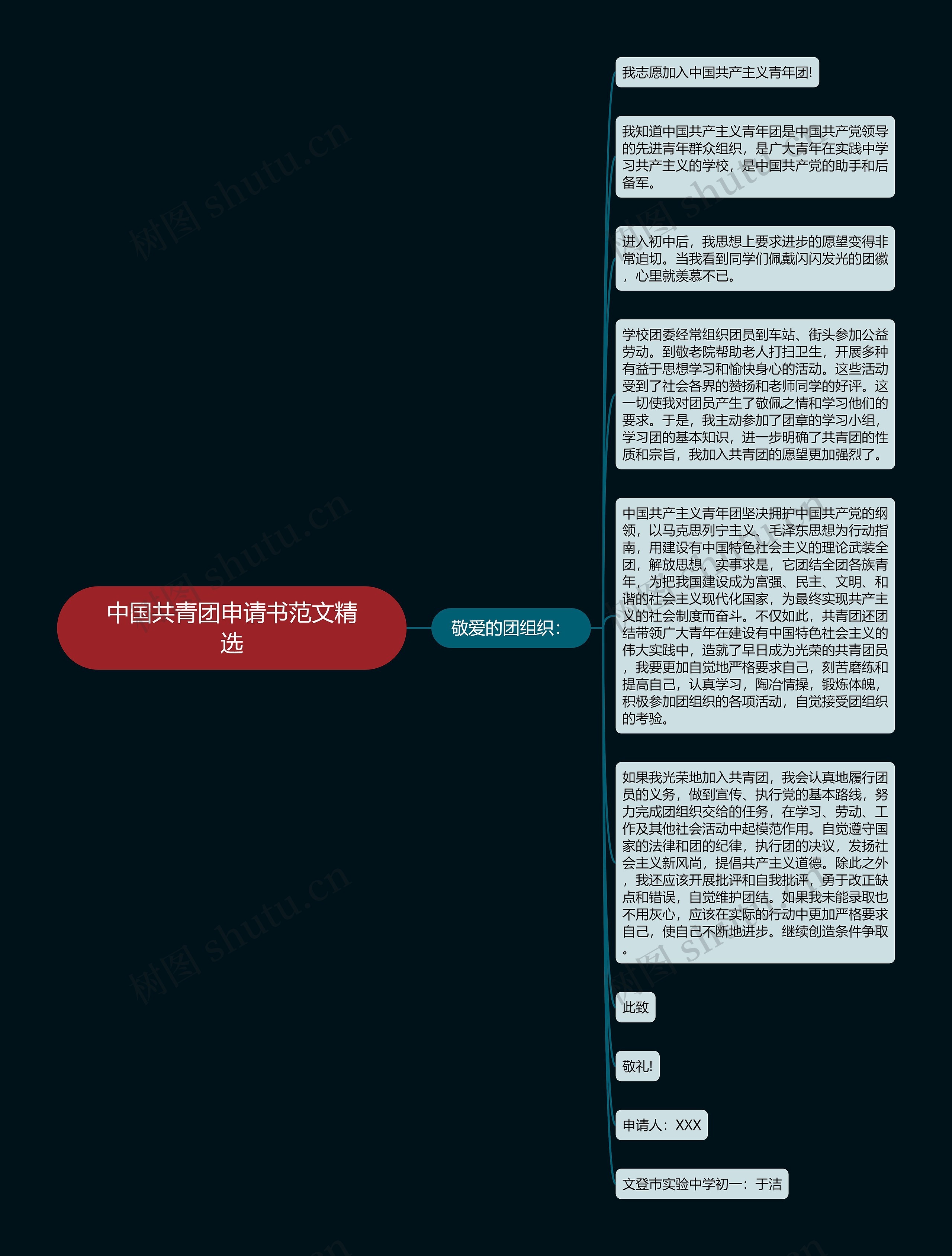 中国共青团申请书范文精选思维导图