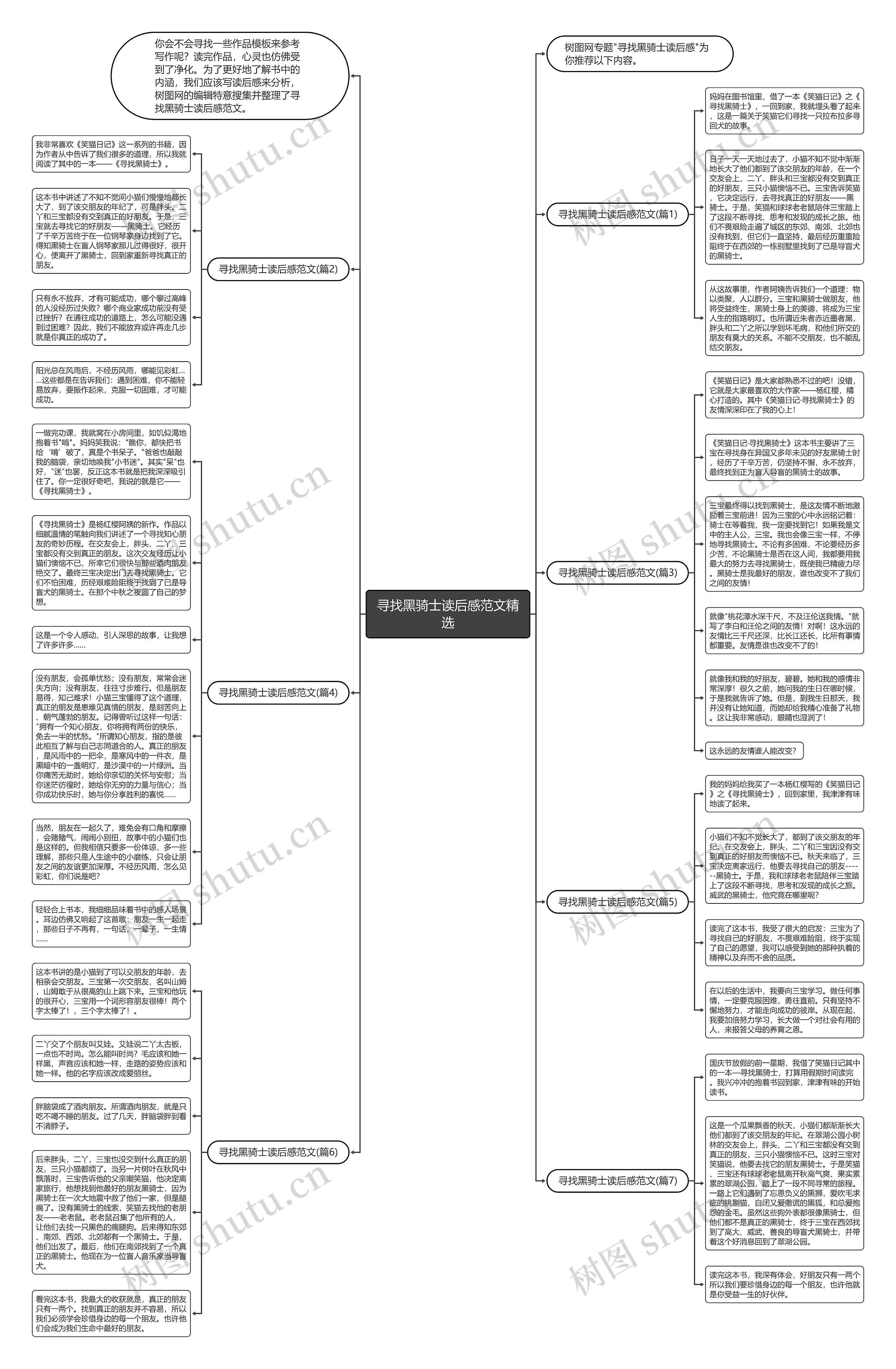 寻找黑骑士读后感范文精选思维导图