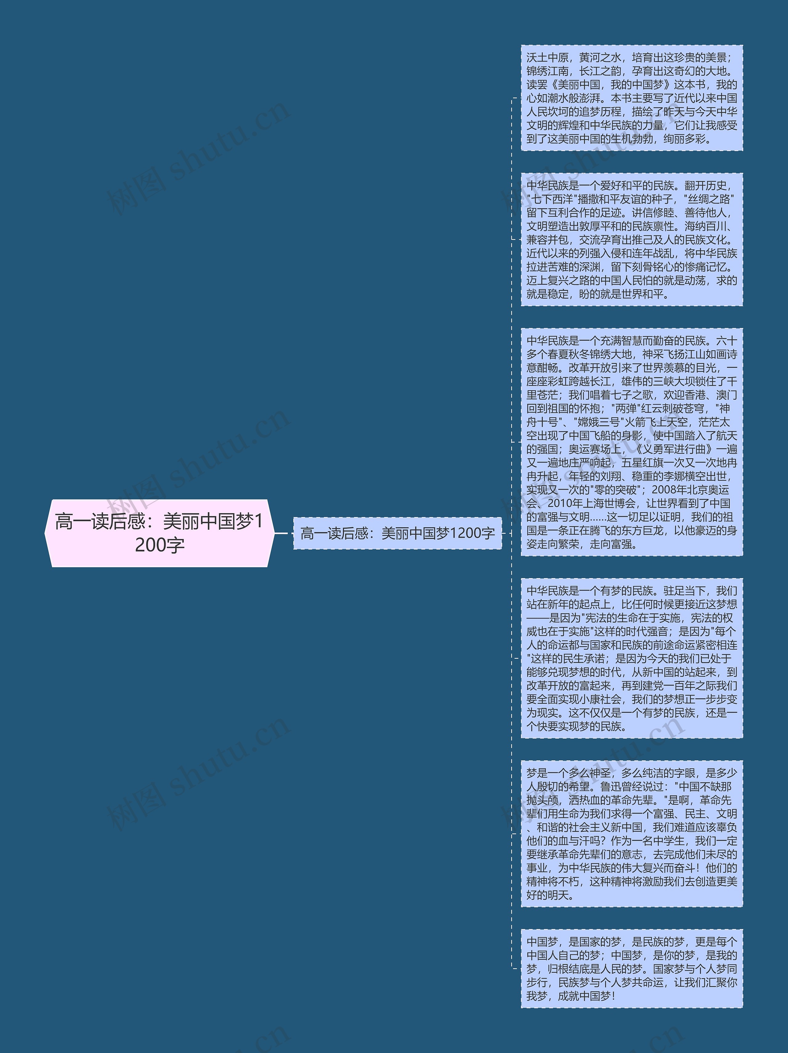 高一读后感：美丽中国梦1200字