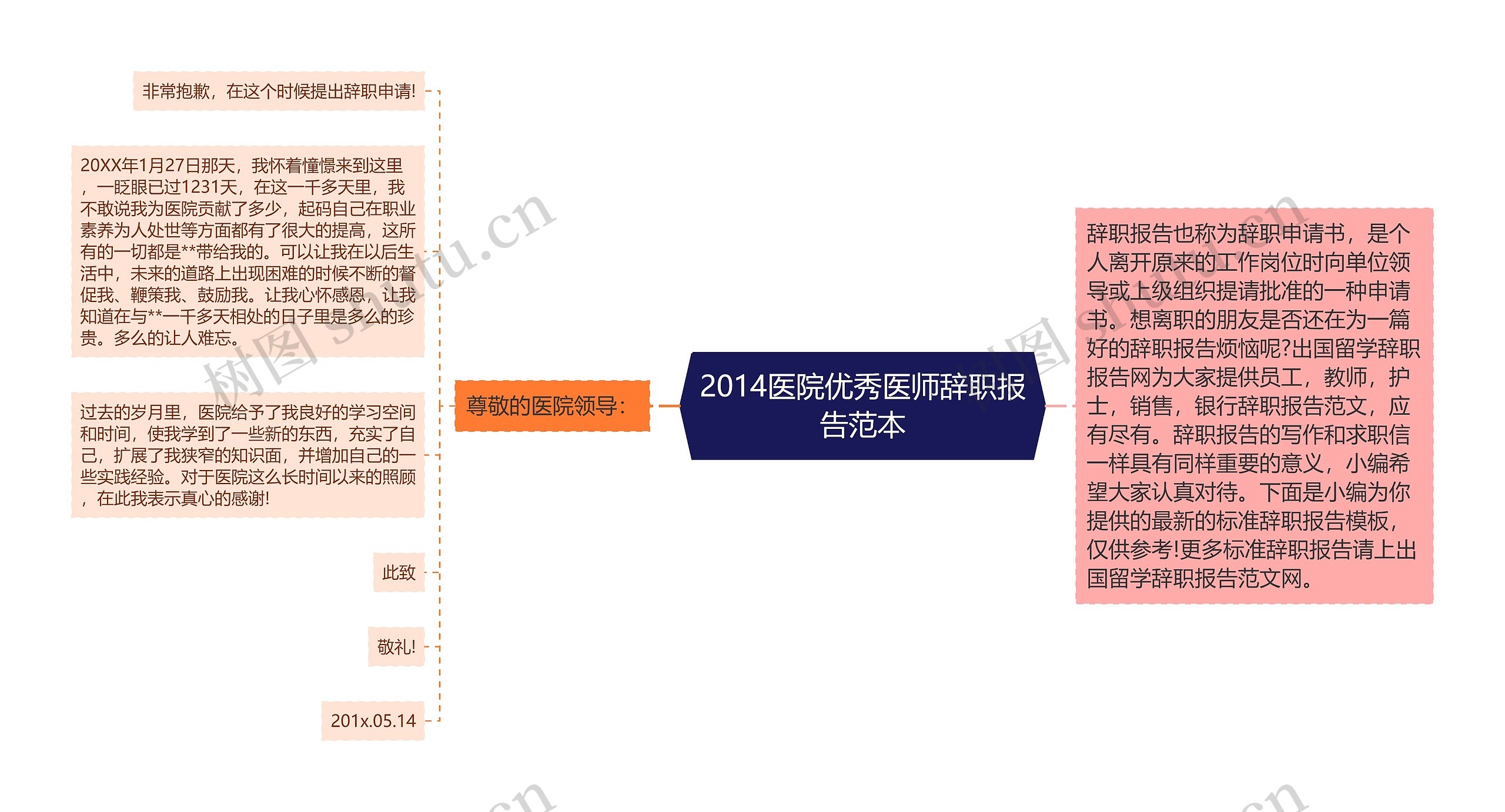 2014医院优秀医师辞职报告范本思维导图