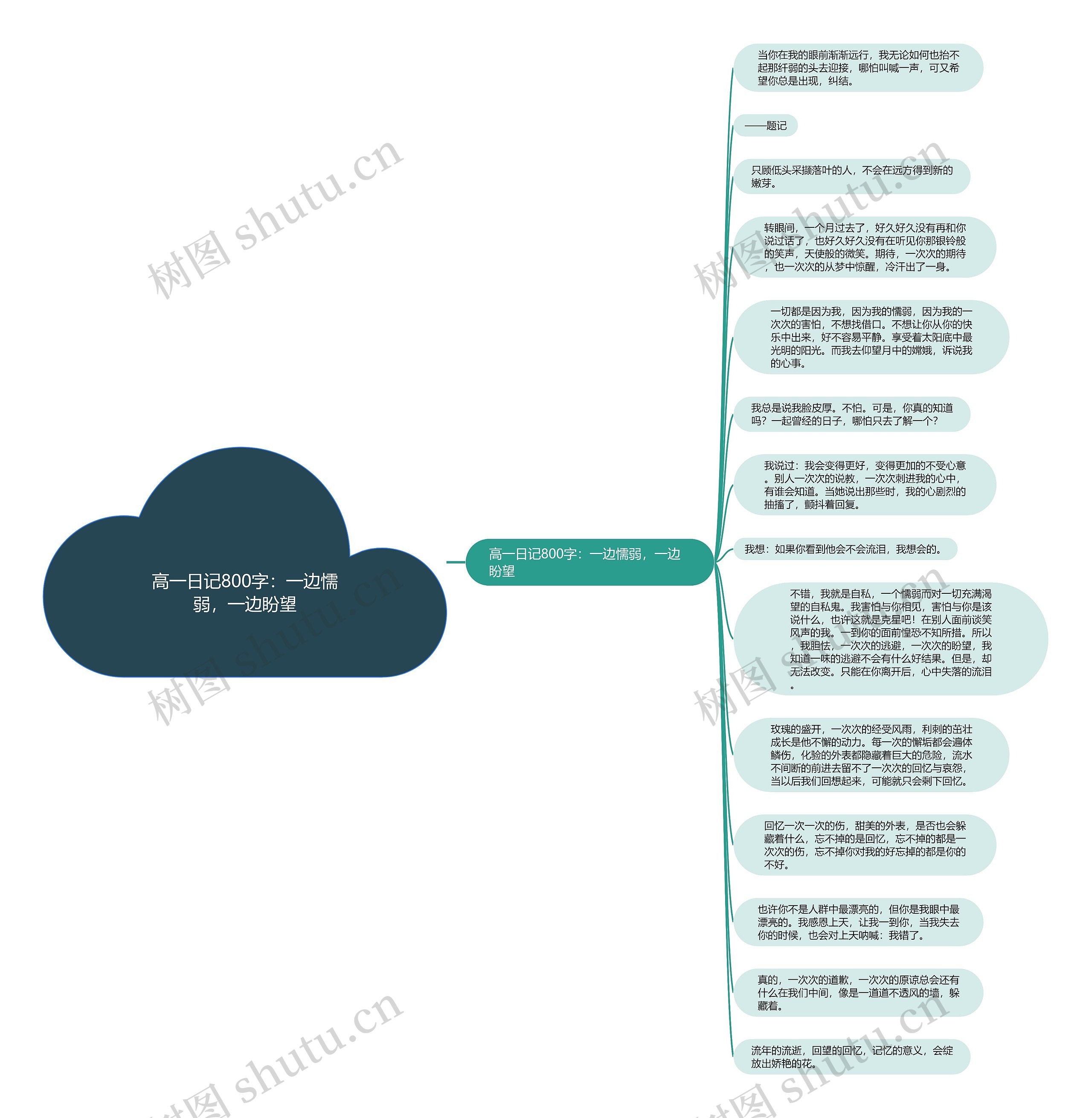 高一日记800字：一边懦弱，一边盼望思维导图
