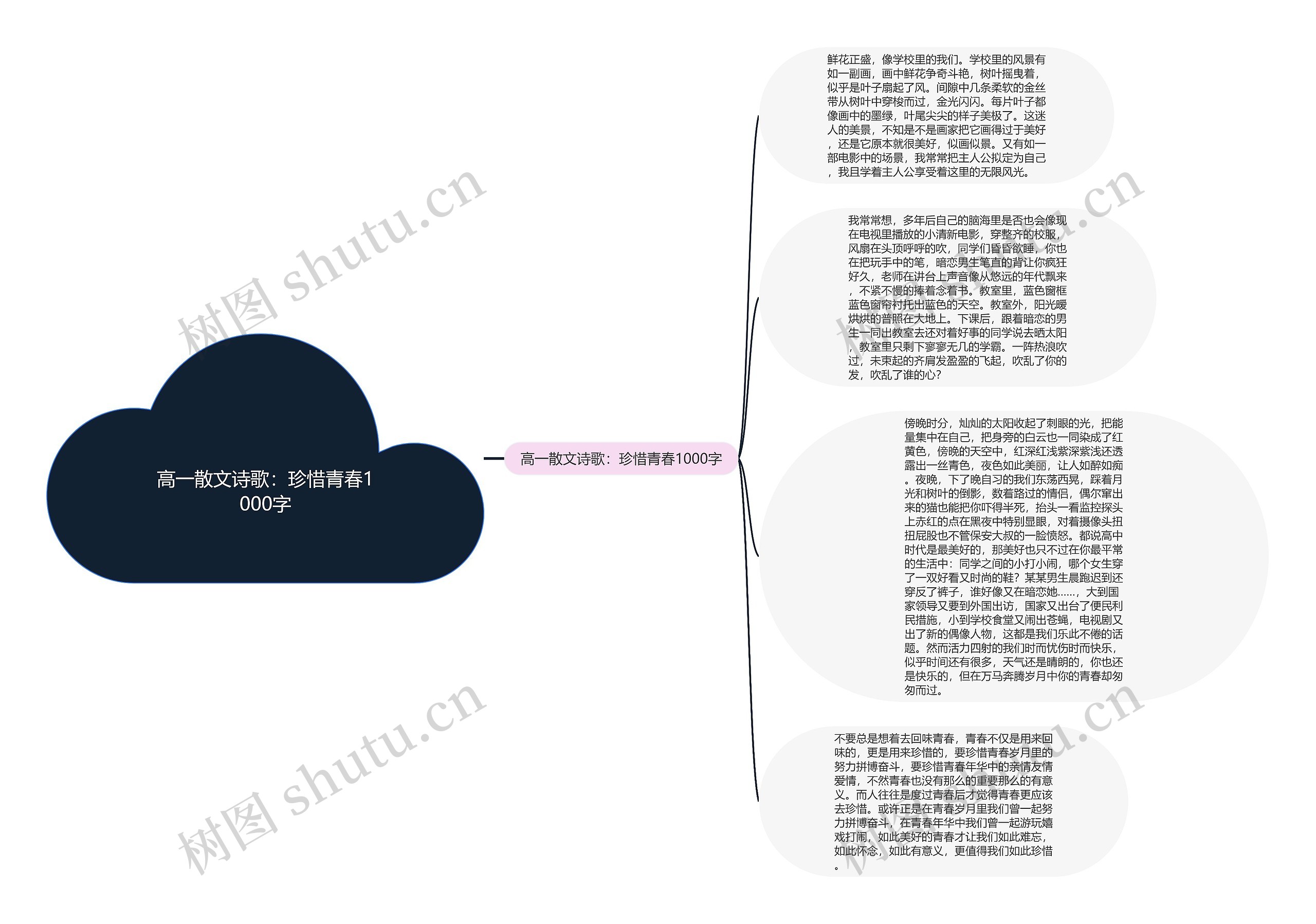 高一散文诗歌：珍惜青春1000字