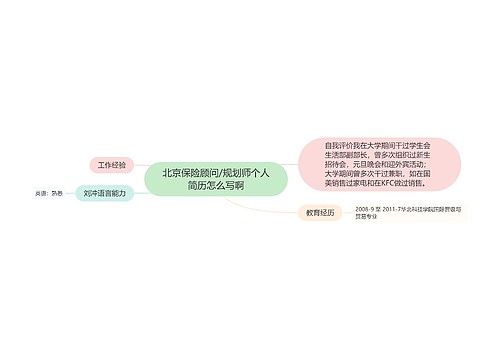 北京保险顾问/规划师个人简历怎么写啊