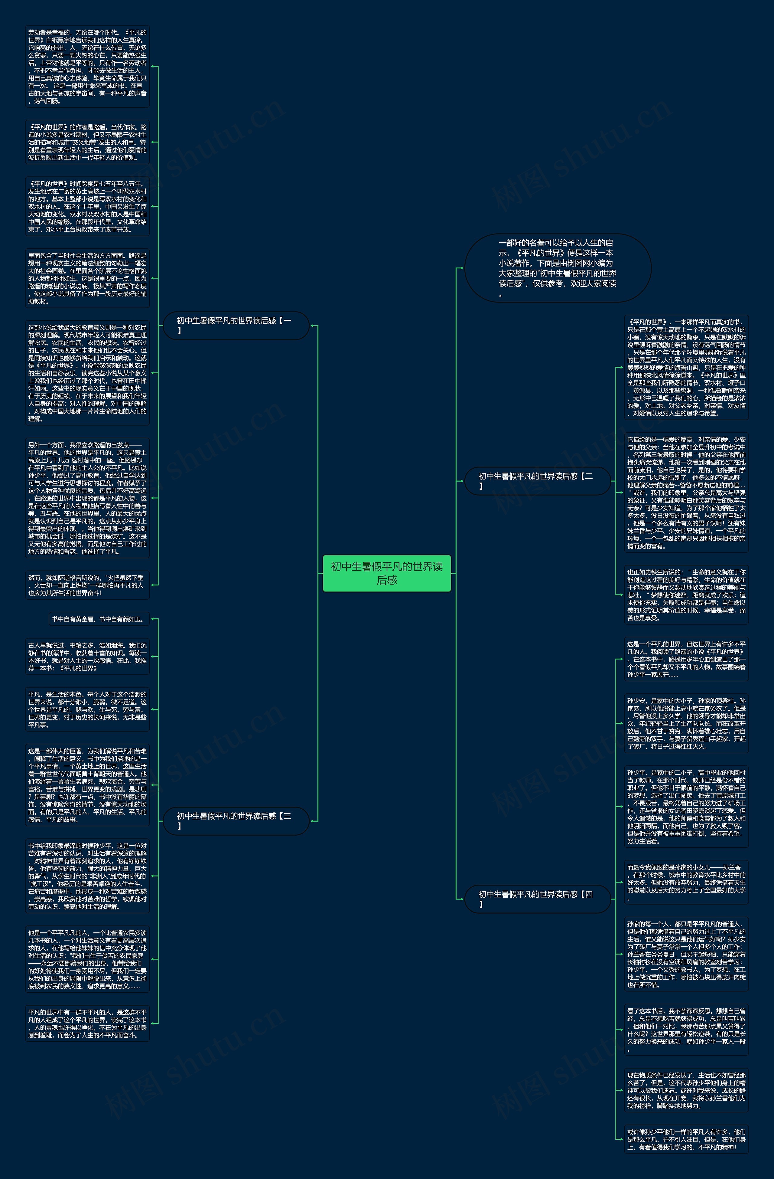 初中生暑假平凡的世界读后感思维导图