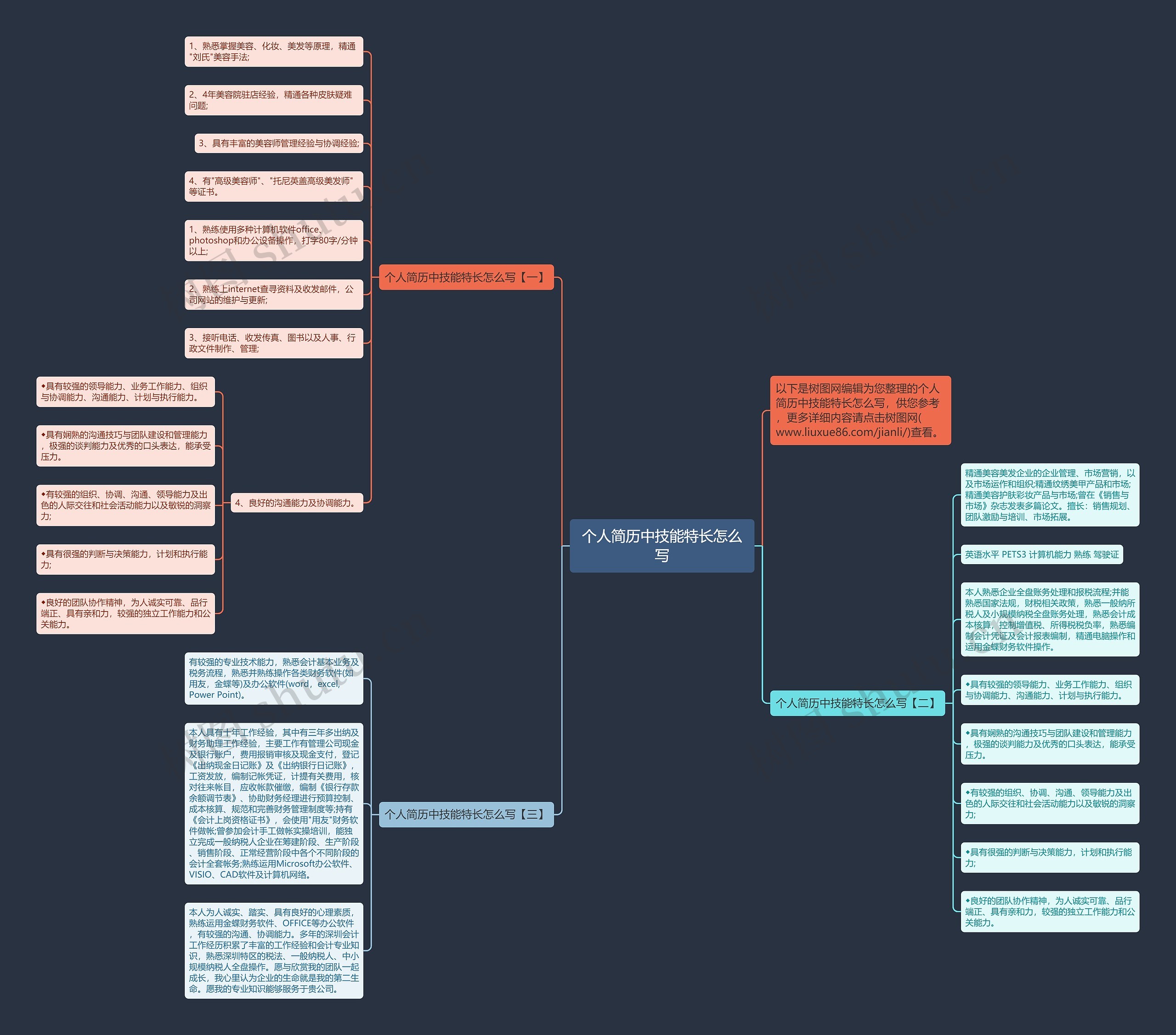 个人简历中技能特长怎么写思维导图