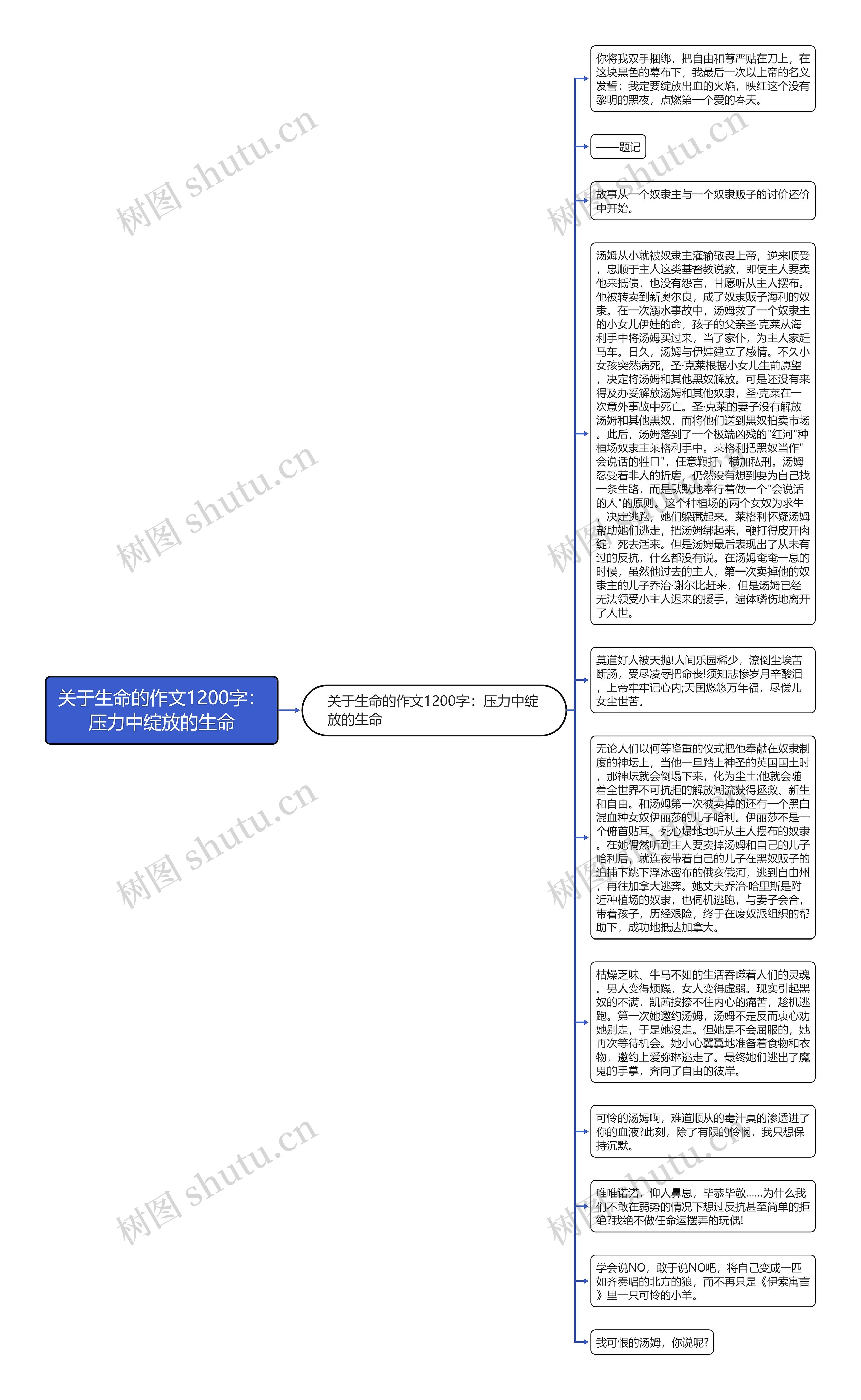 关于生命的作文1200字：压力中绽放的生命思维导图