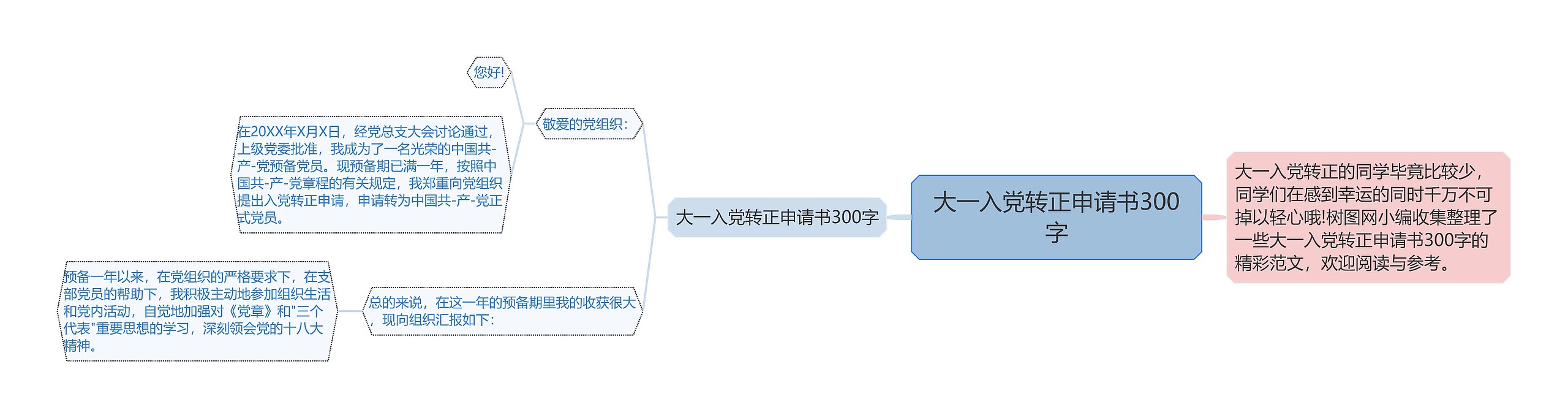 大一入党转正申请书300字