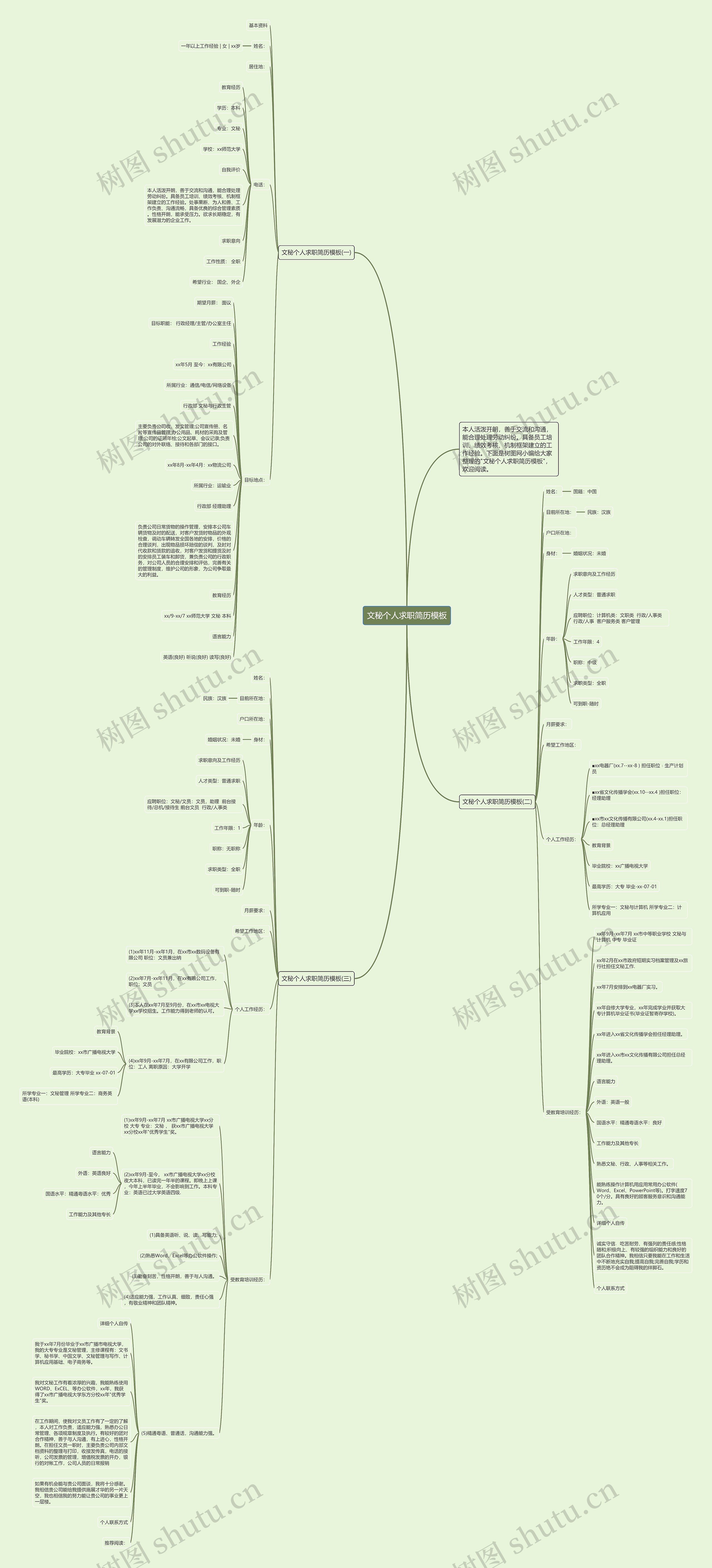 文秘个人求职简历思维导图