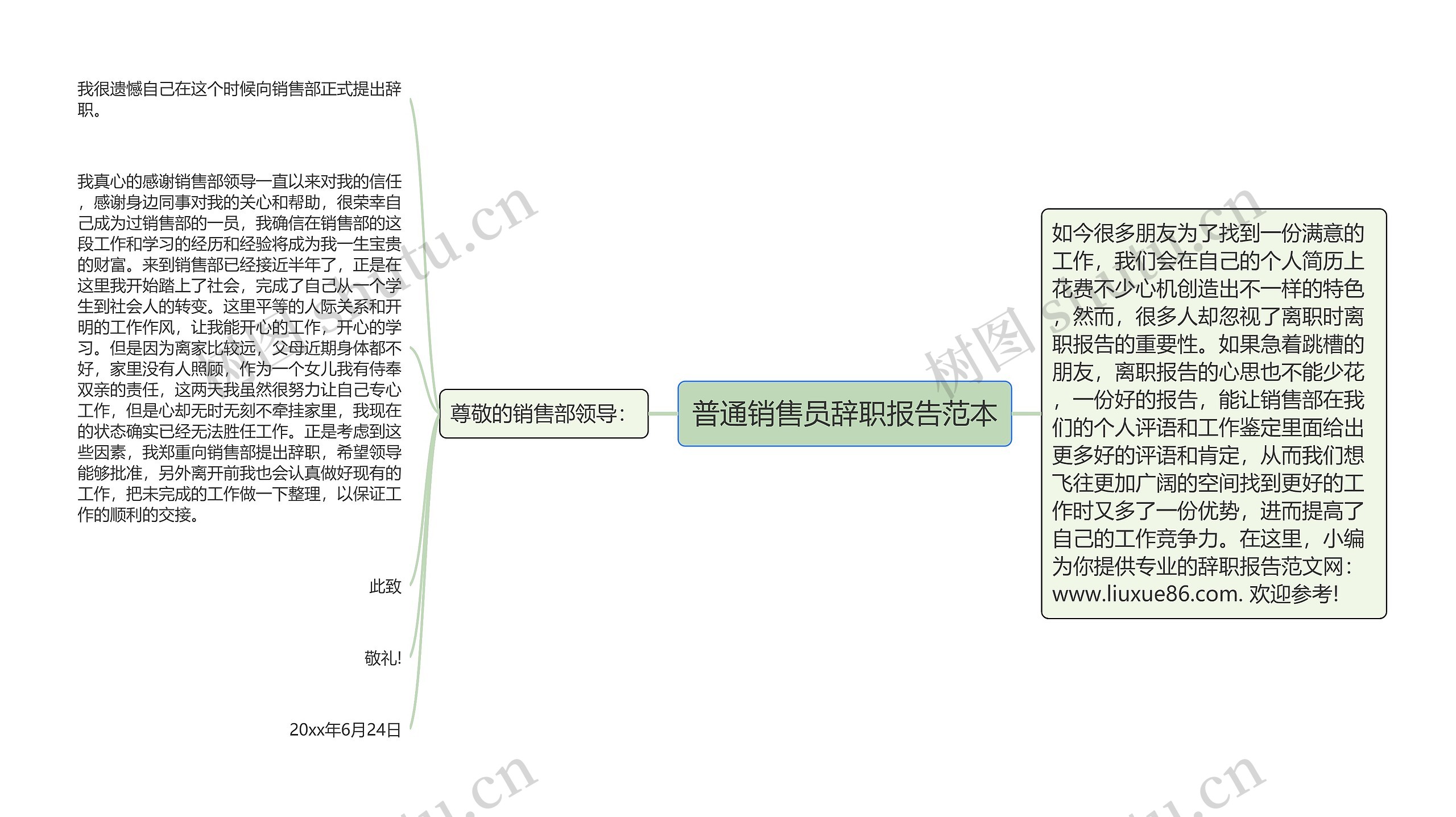 普通销售员辞职报告范本