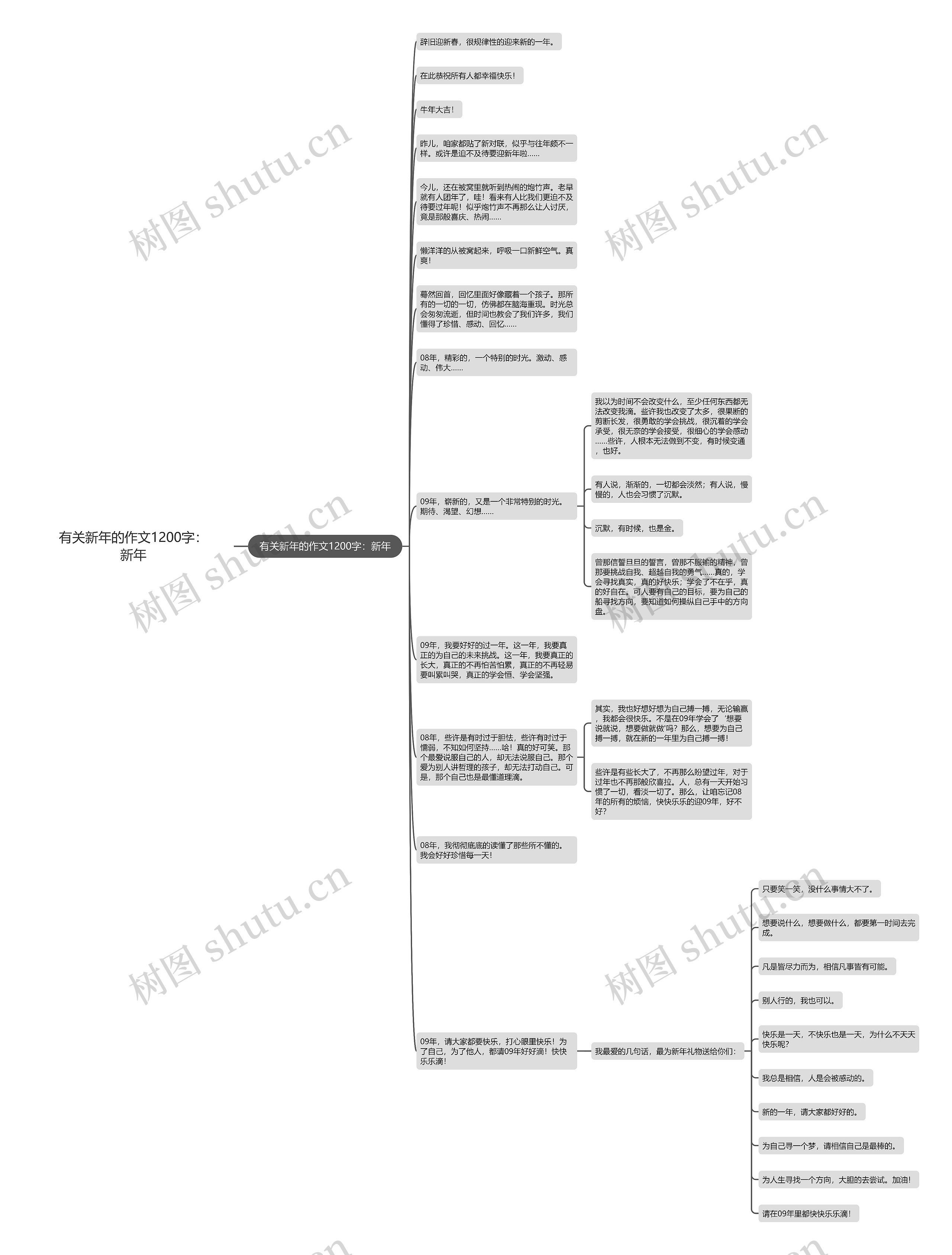 有关新年的作文1200字：新年思维导图