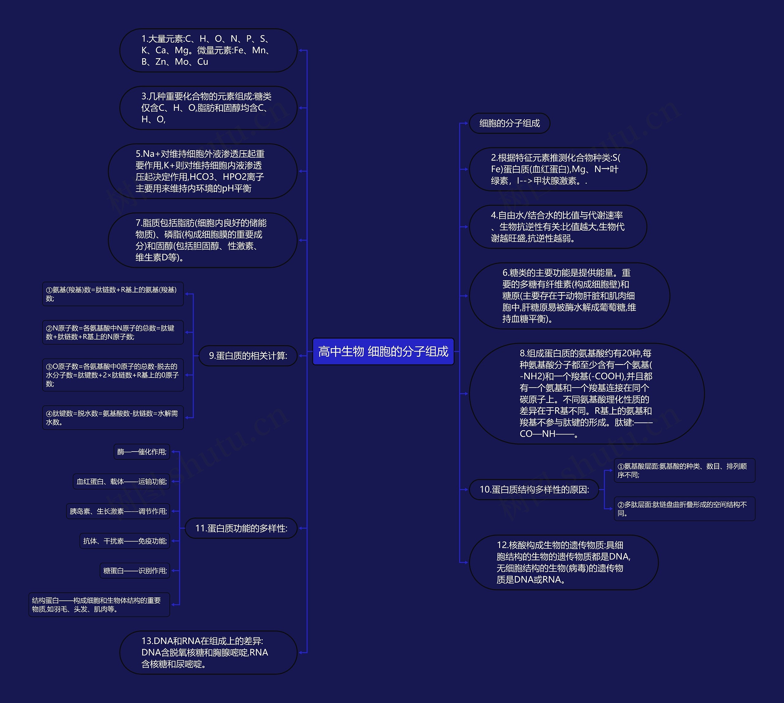 高中生物 细胞的分子组成