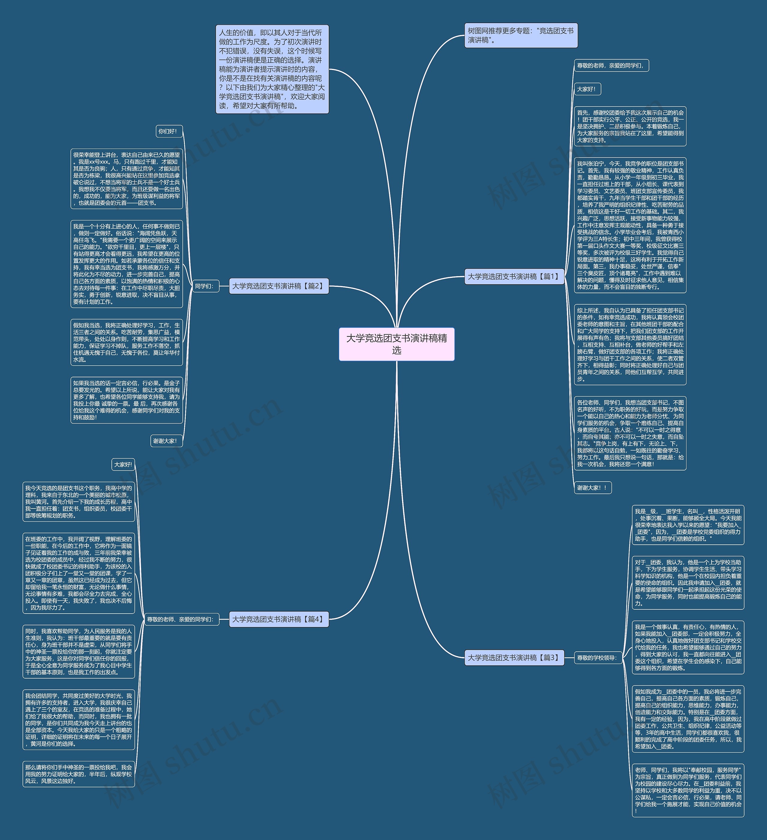 大学竞选团支书演讲稿精选思维导图