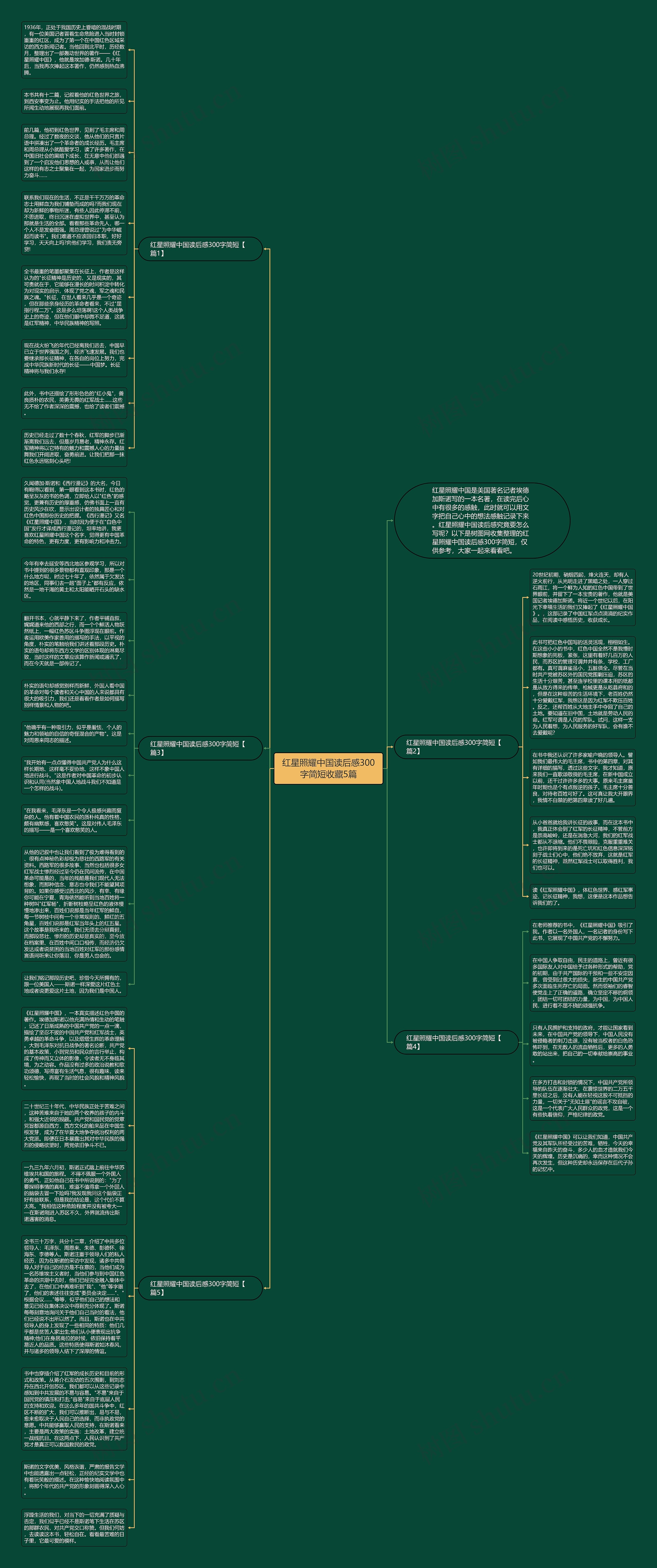 红星照耀中国读后感300字简短收藏5篇思维导图
