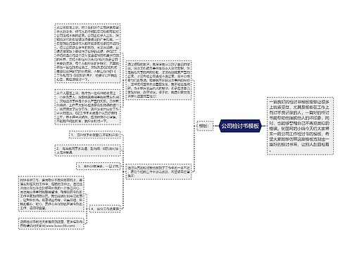 公司检讨书模板