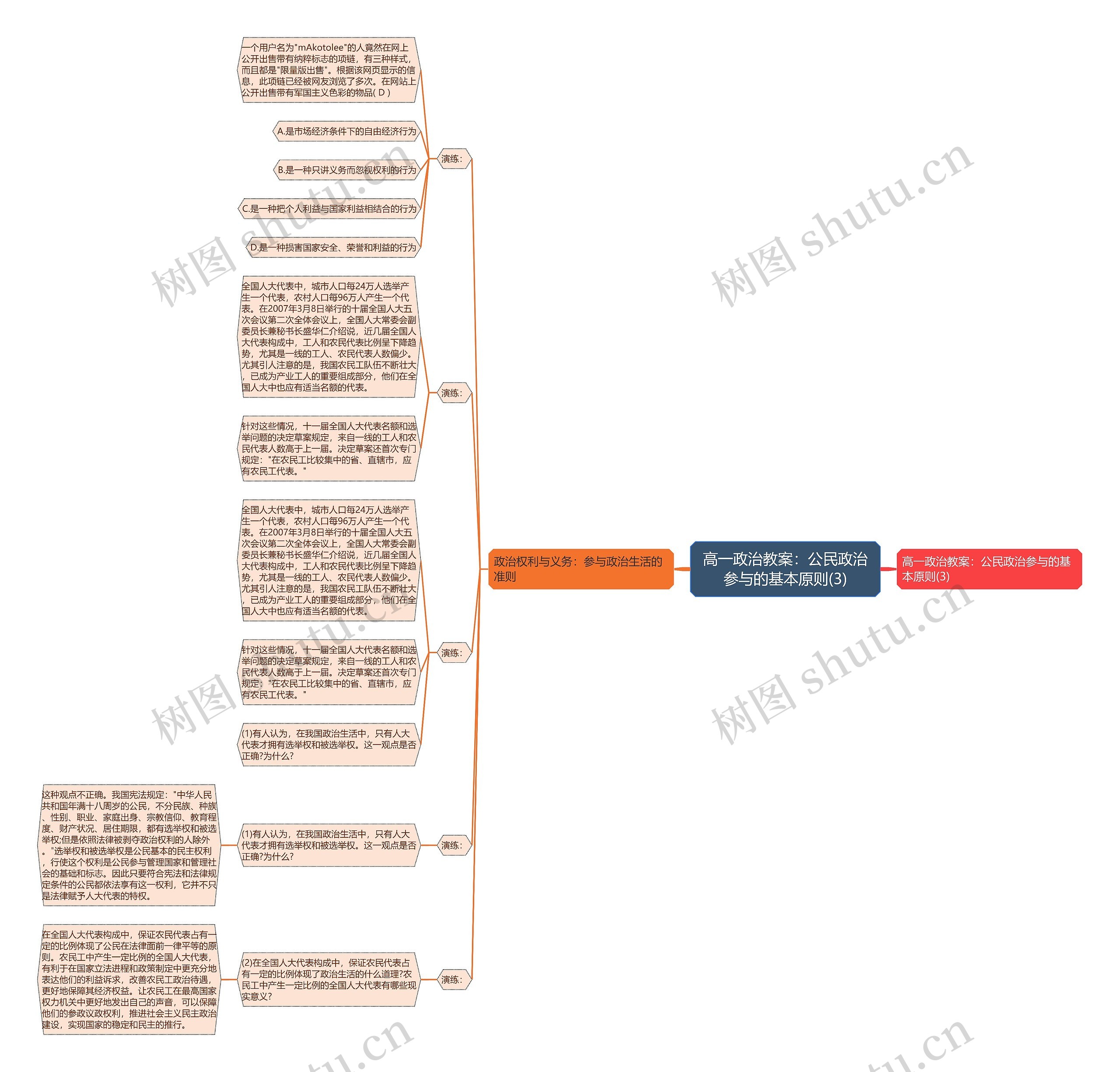 高一政治教案：公民政治参与的基本原则(3)思维导图