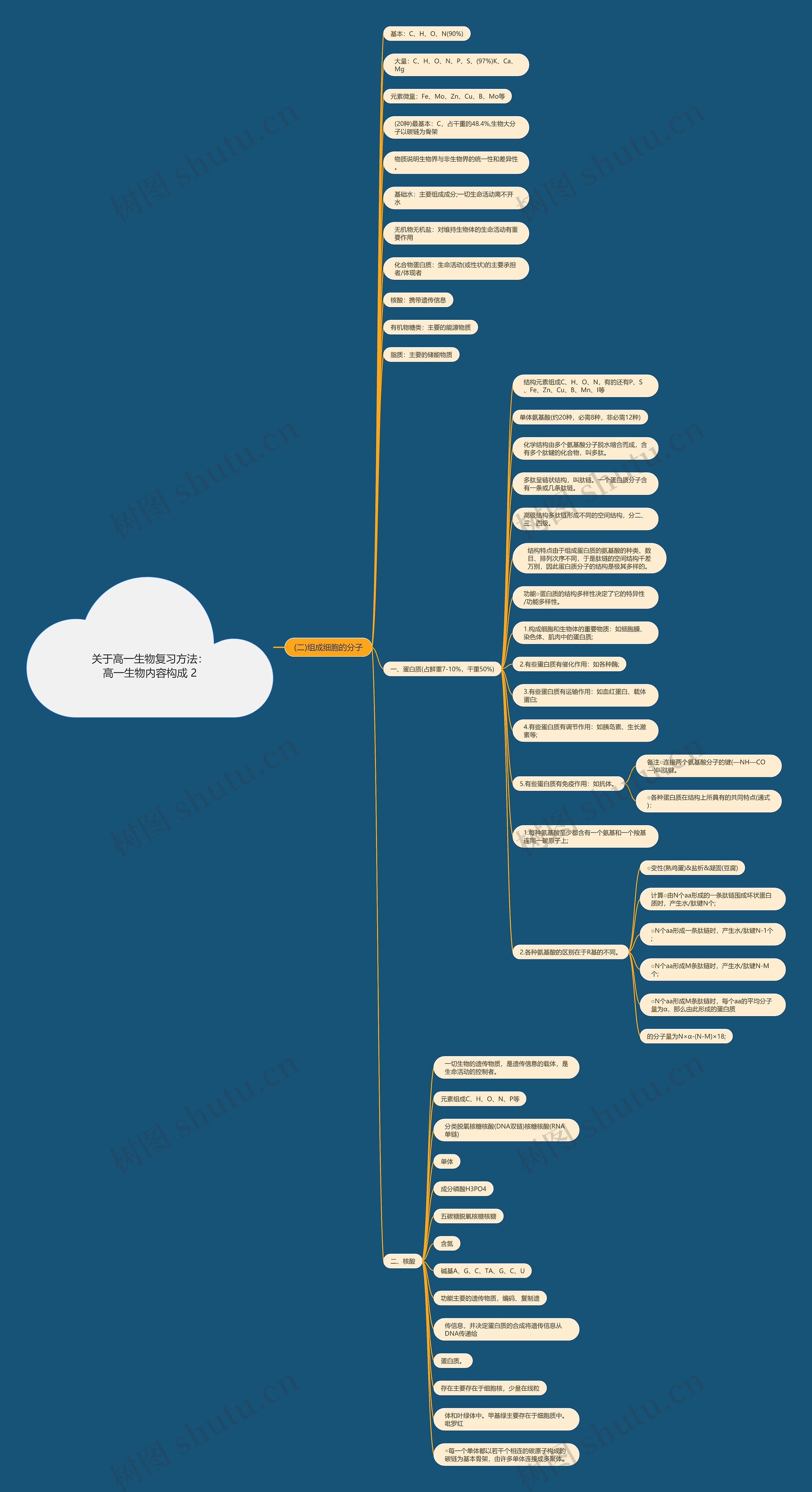 关于高一生物复习方法：高一生物内容构成 2思维导图