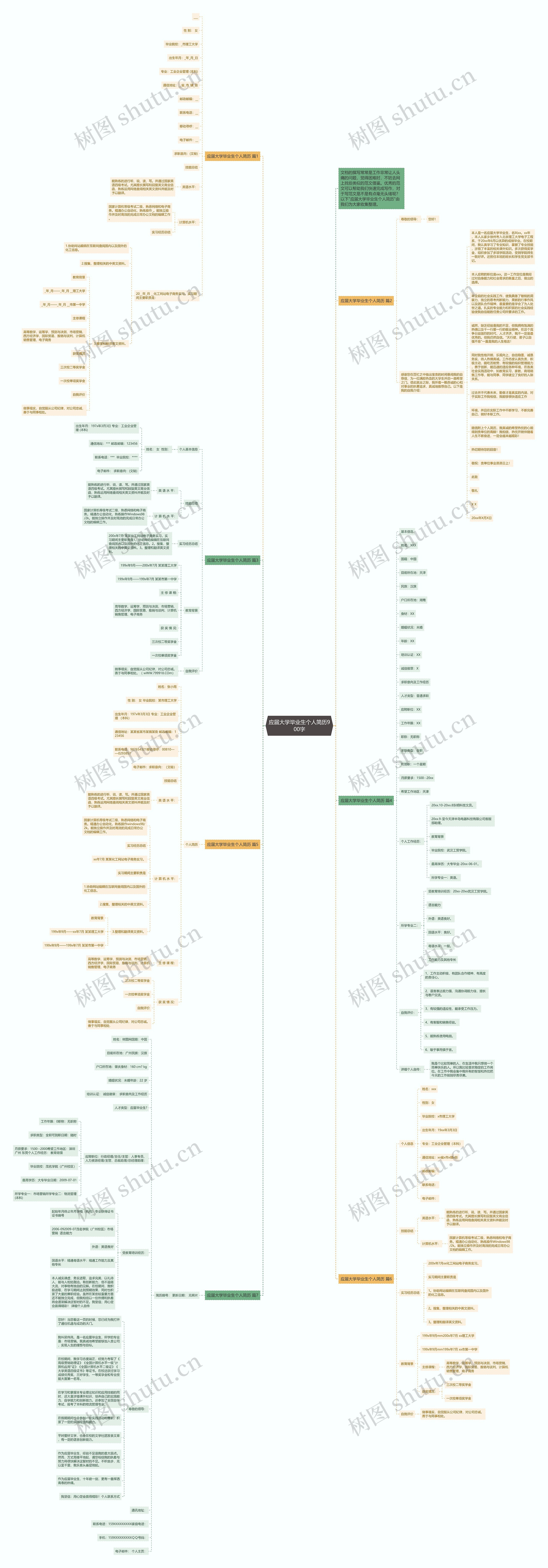应届大学毕业生个人简历900字思维导图