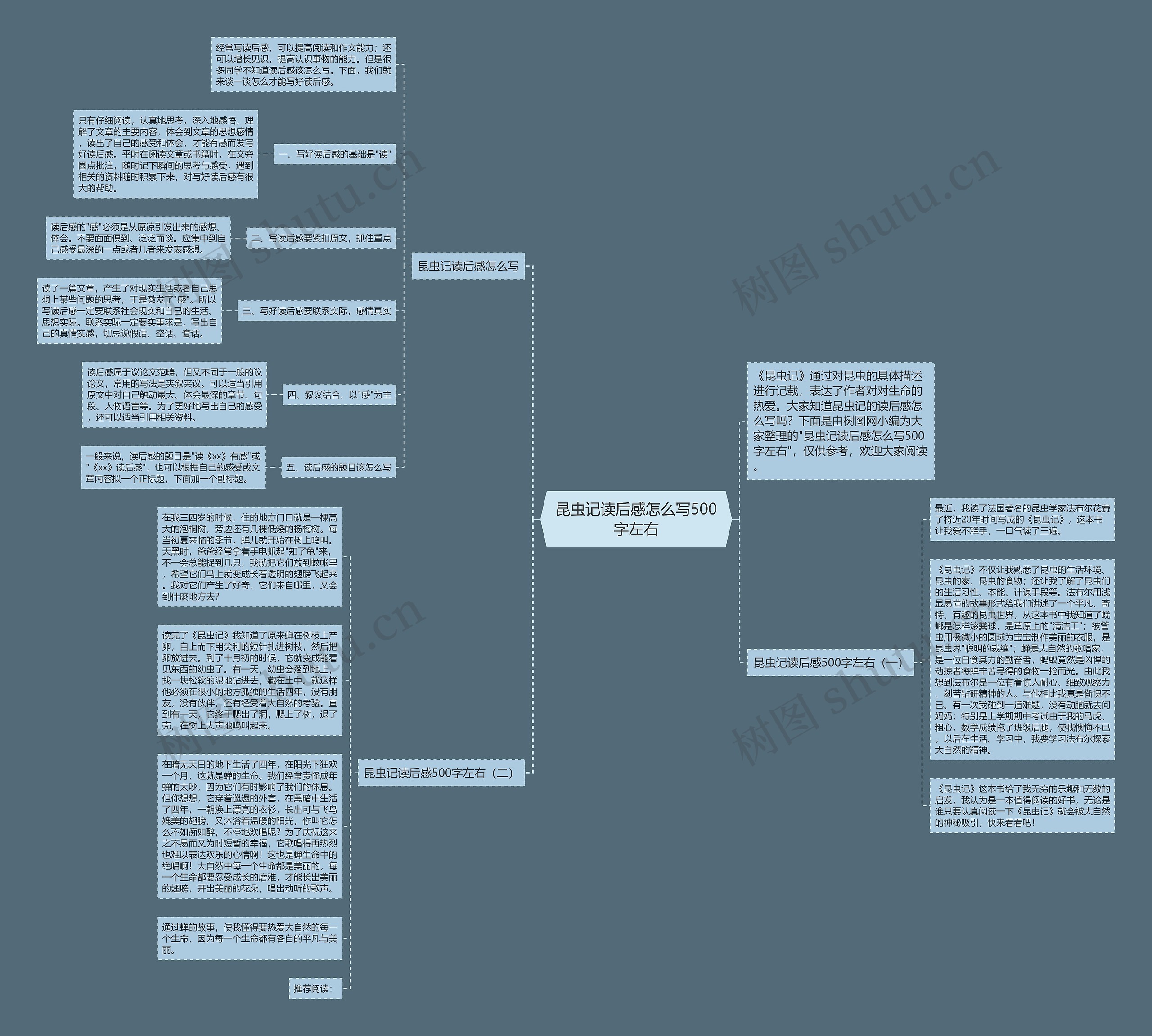 昆虫记读后感怎么写500字左右思维导图