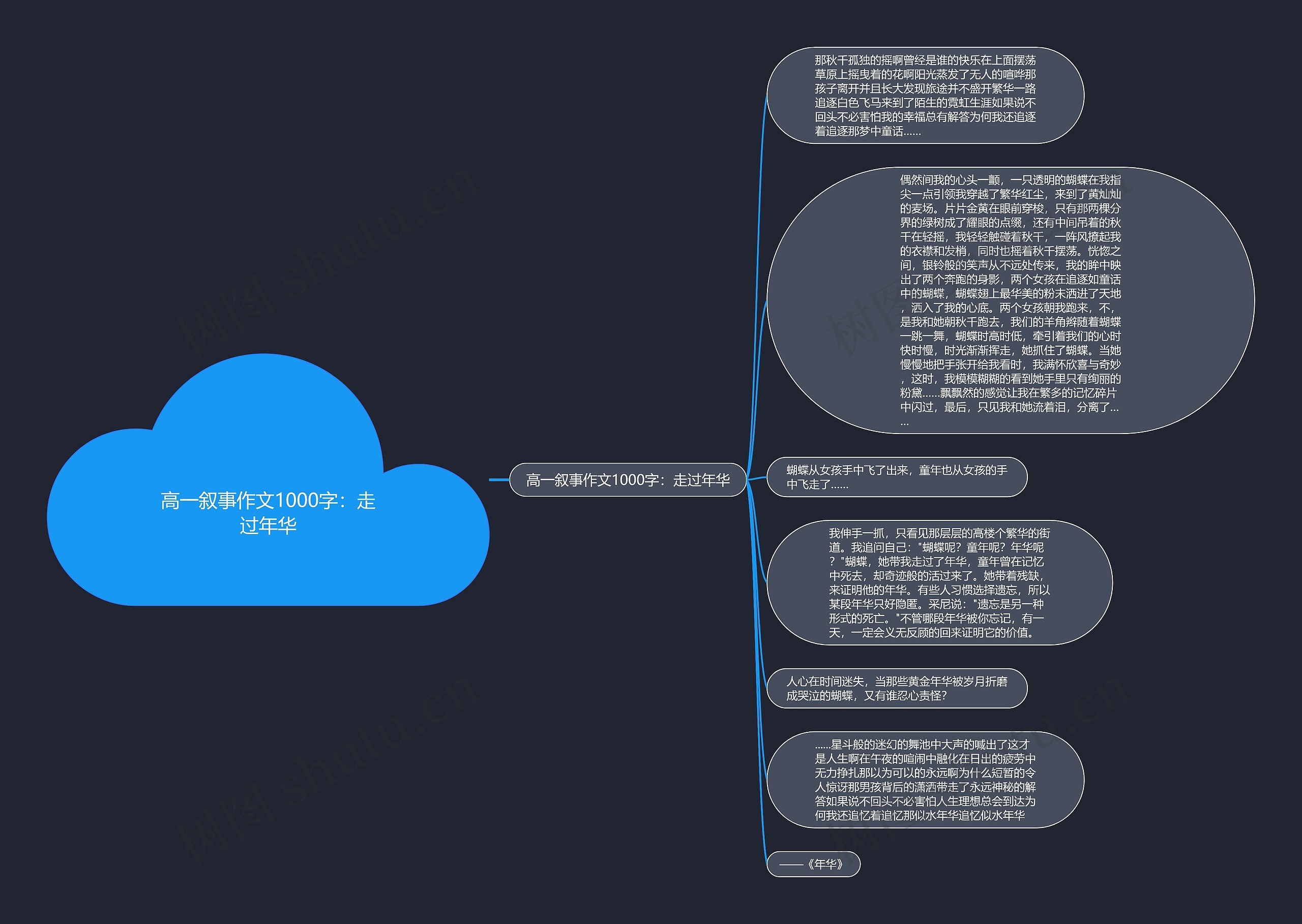 高一叙事作文1000字：走过年华思维导图