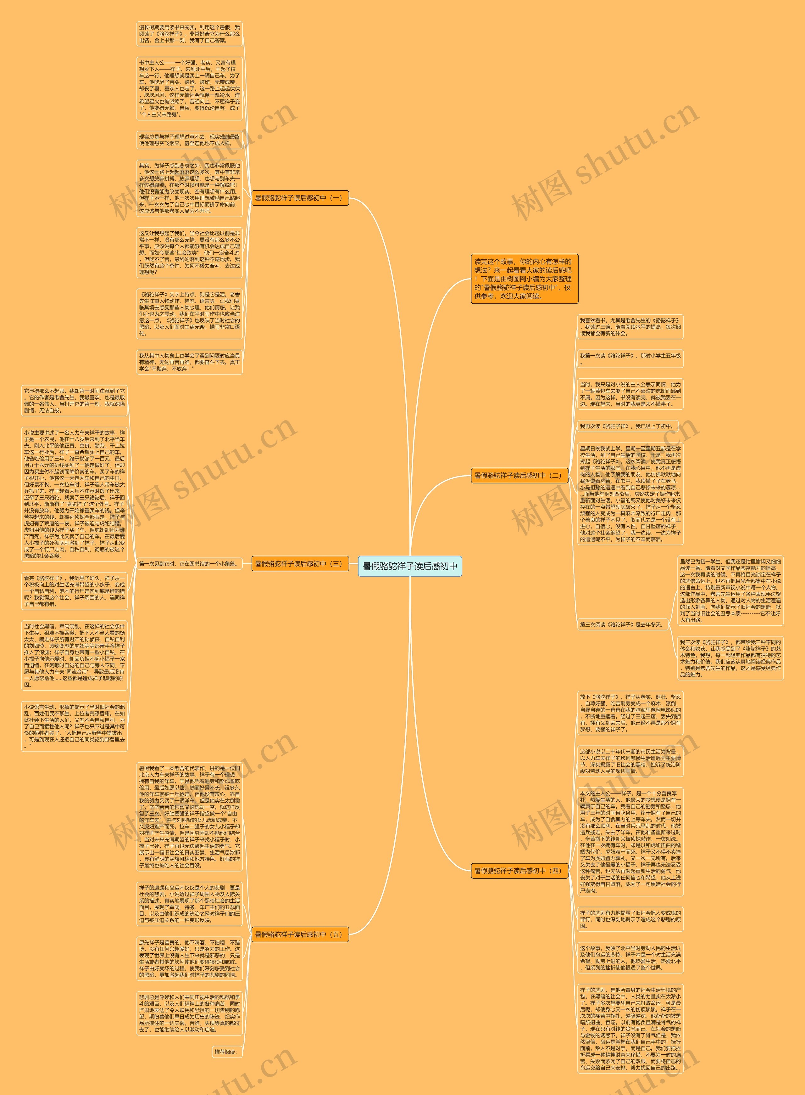 暑假骆驼祥子读后感初中思维导图