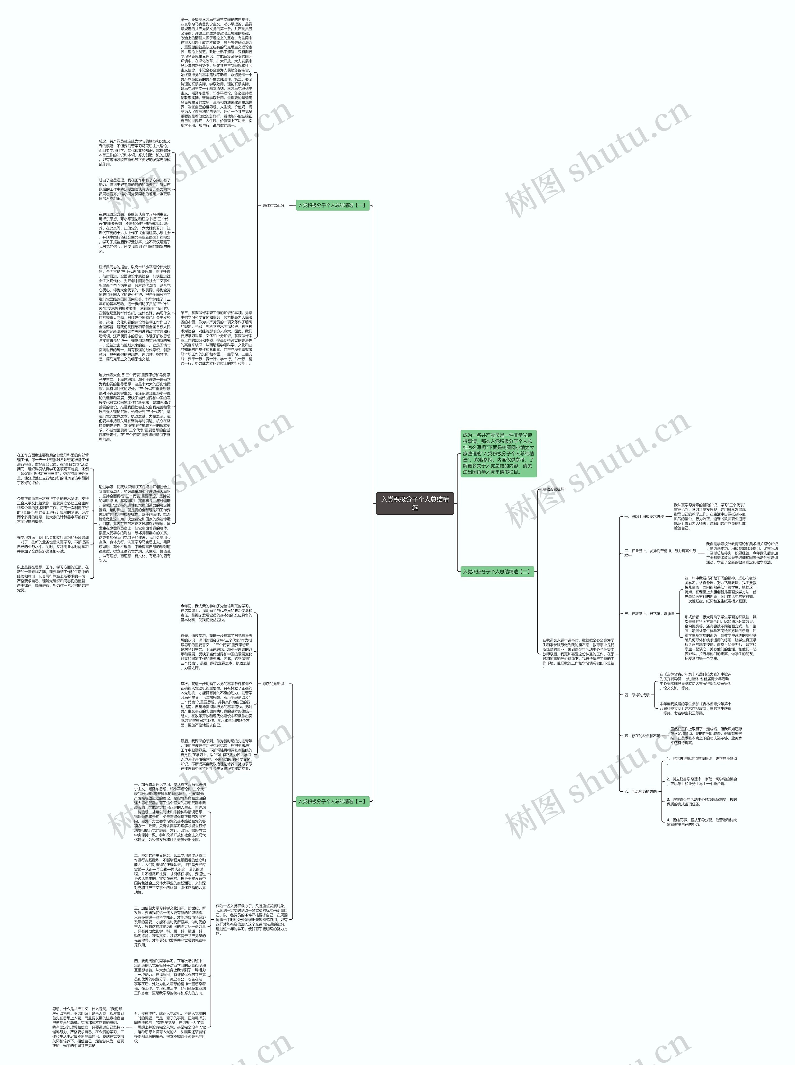 入党积极分子个人总结精选思维导图