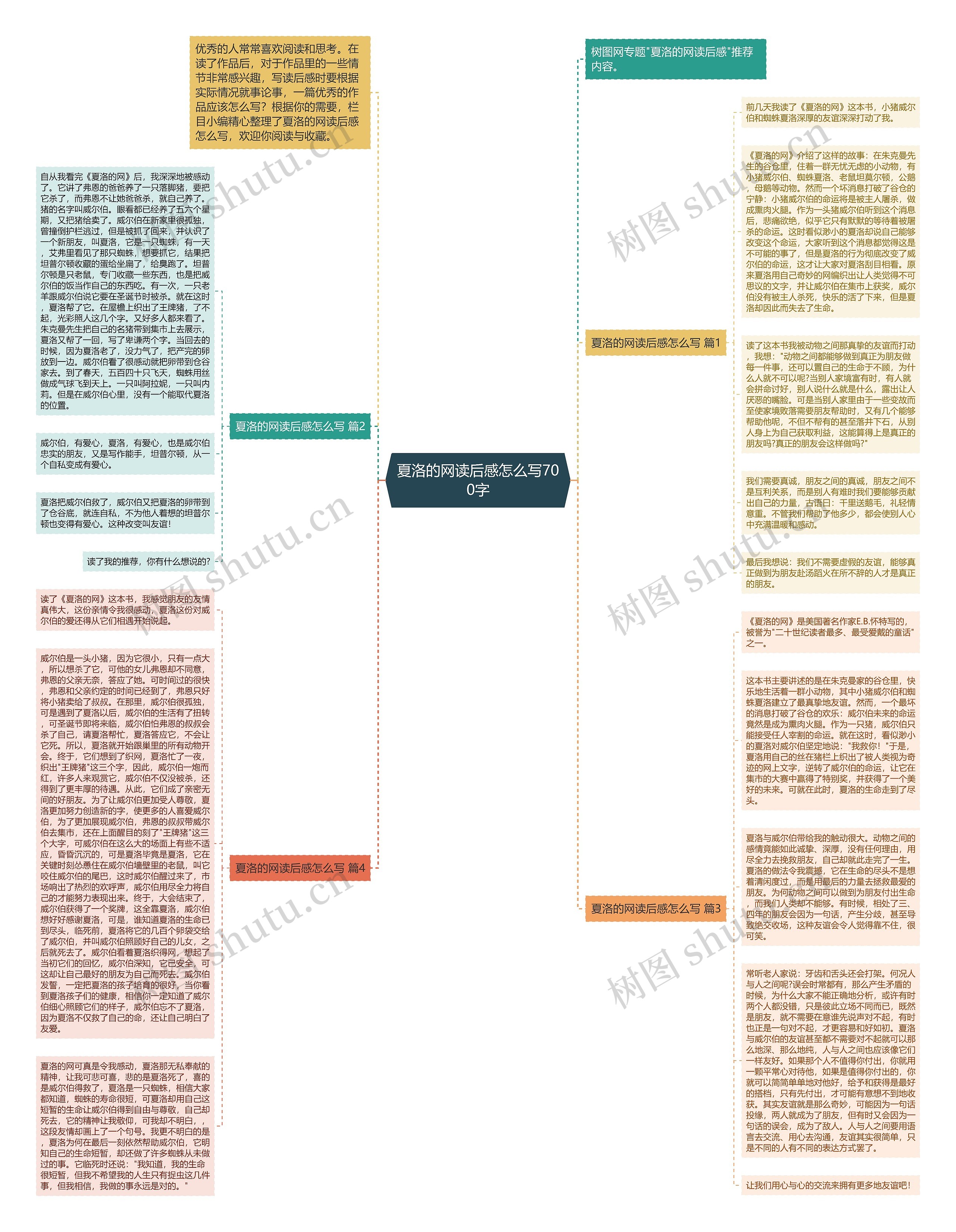 夏洛的网读后感怎么写700字思维导图