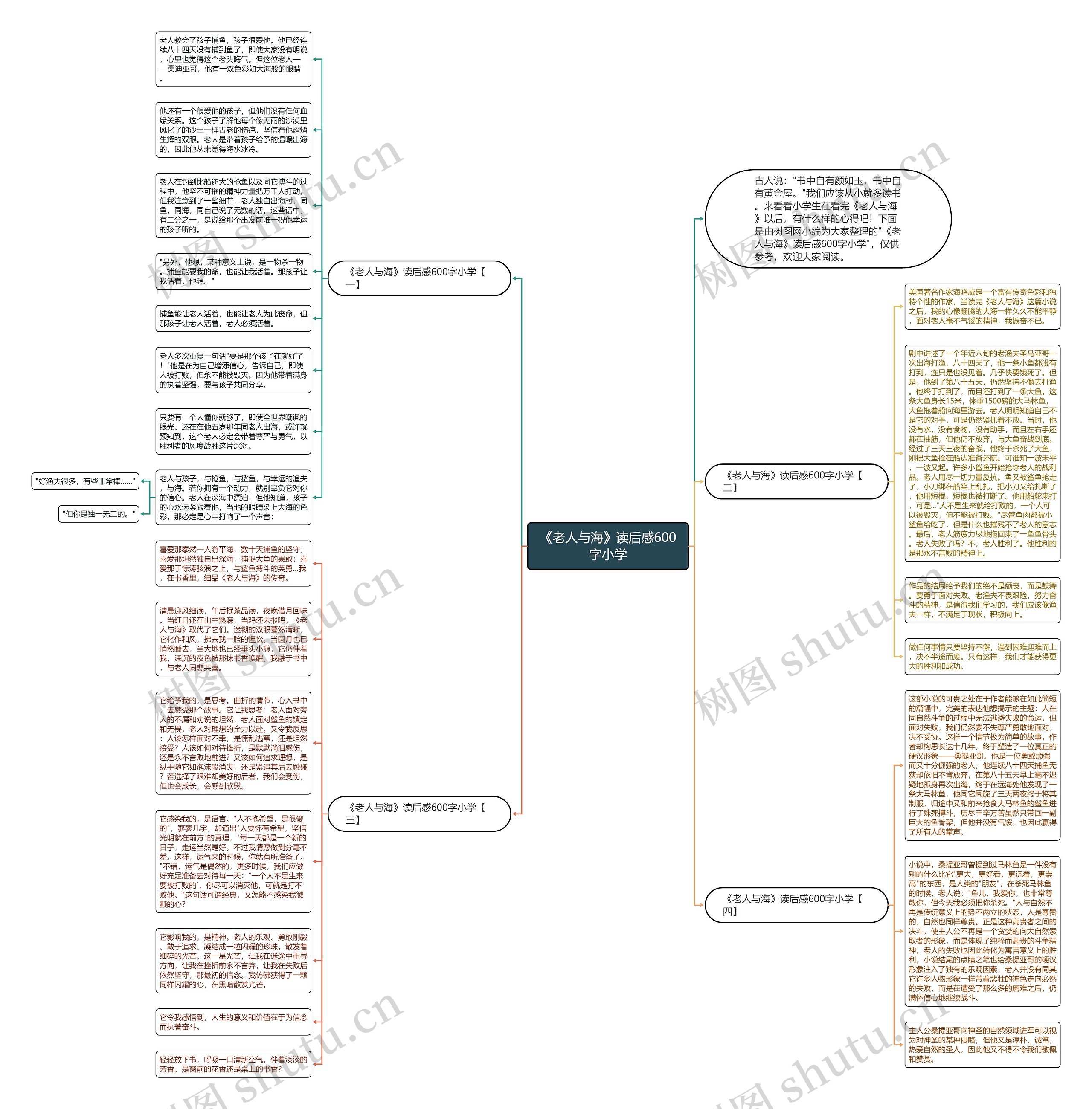 《老人与海》读后感600字小学思维导图
