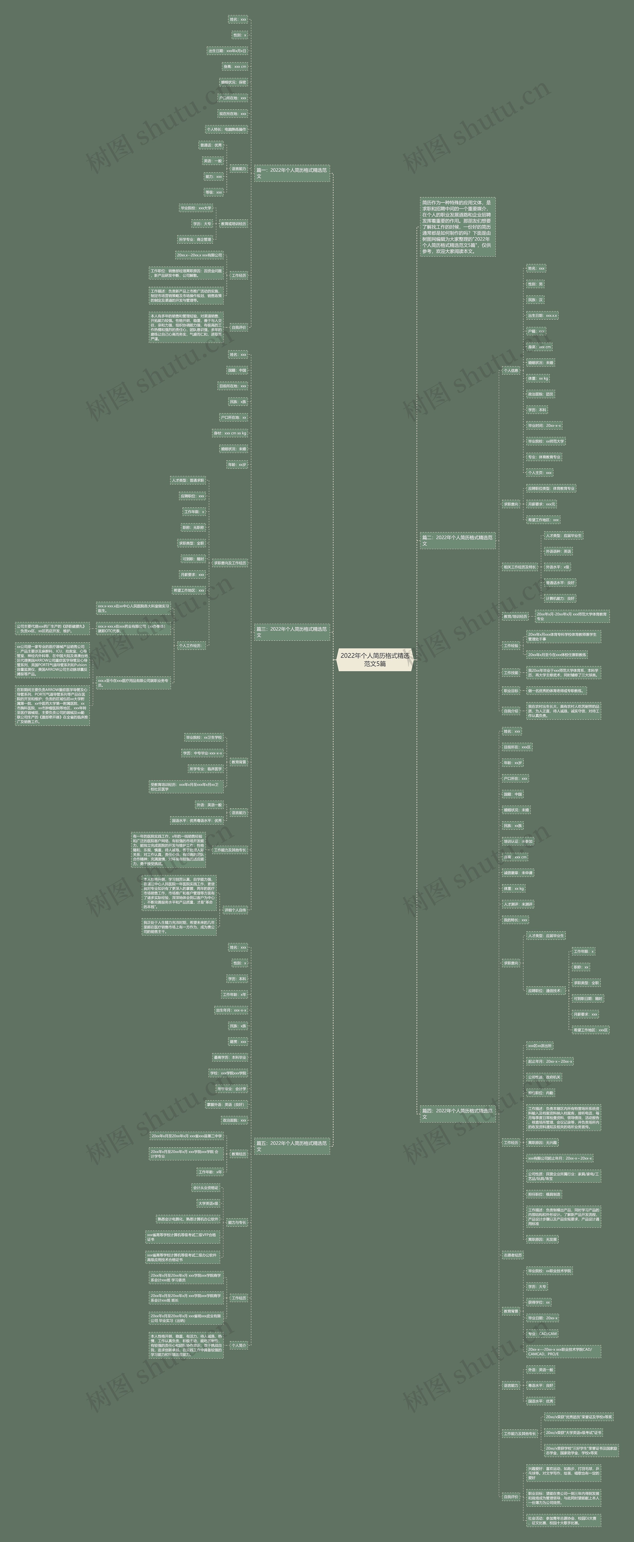2022年个人简历格式精选范文5篇思维导图