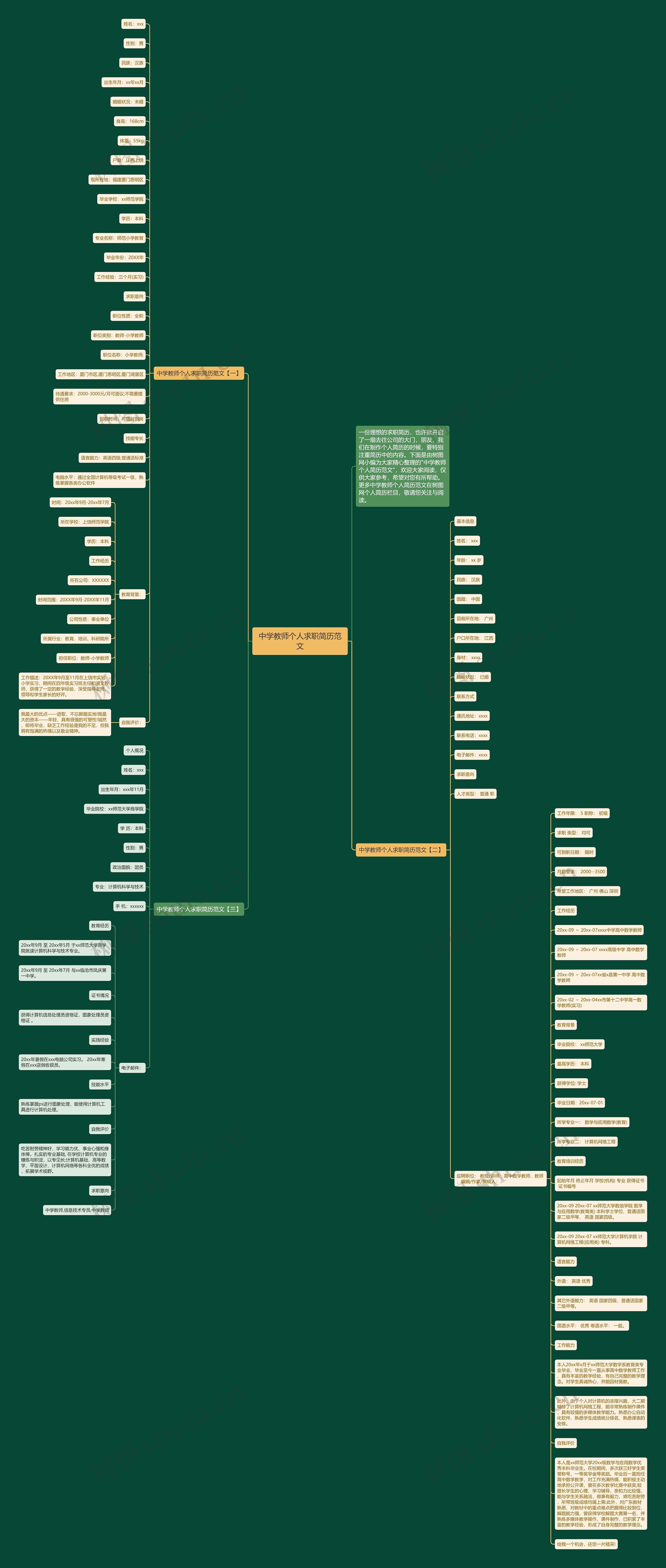 中学教师个人求职简历范文思维导图