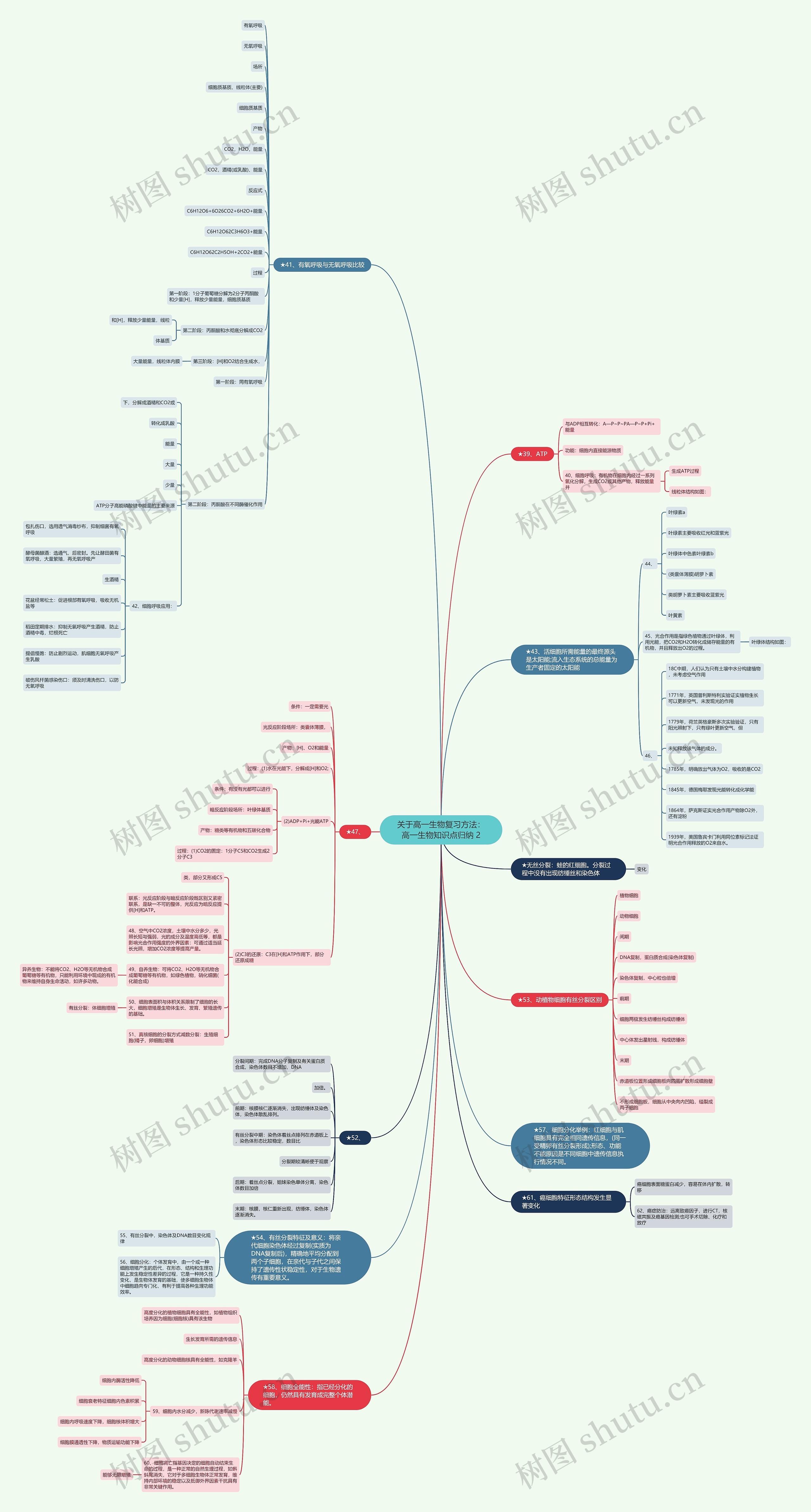 关于高一生物复习方法：高一生物知识点归纳 2思维导图