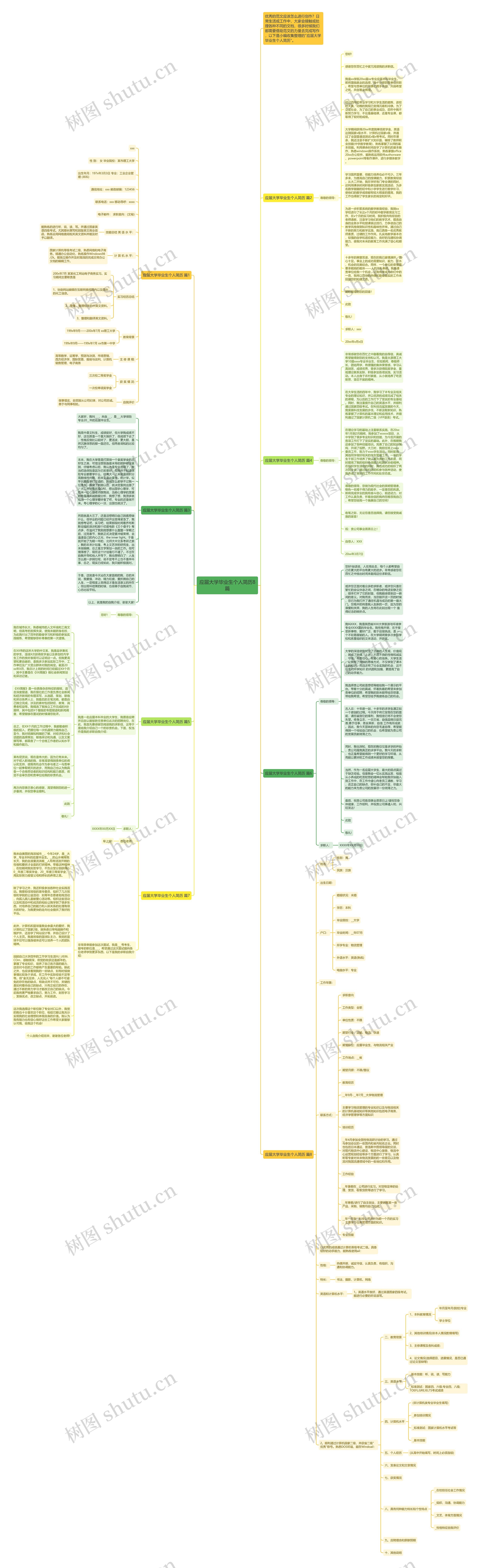 应届大学毕业生个人简历8篇思维导图