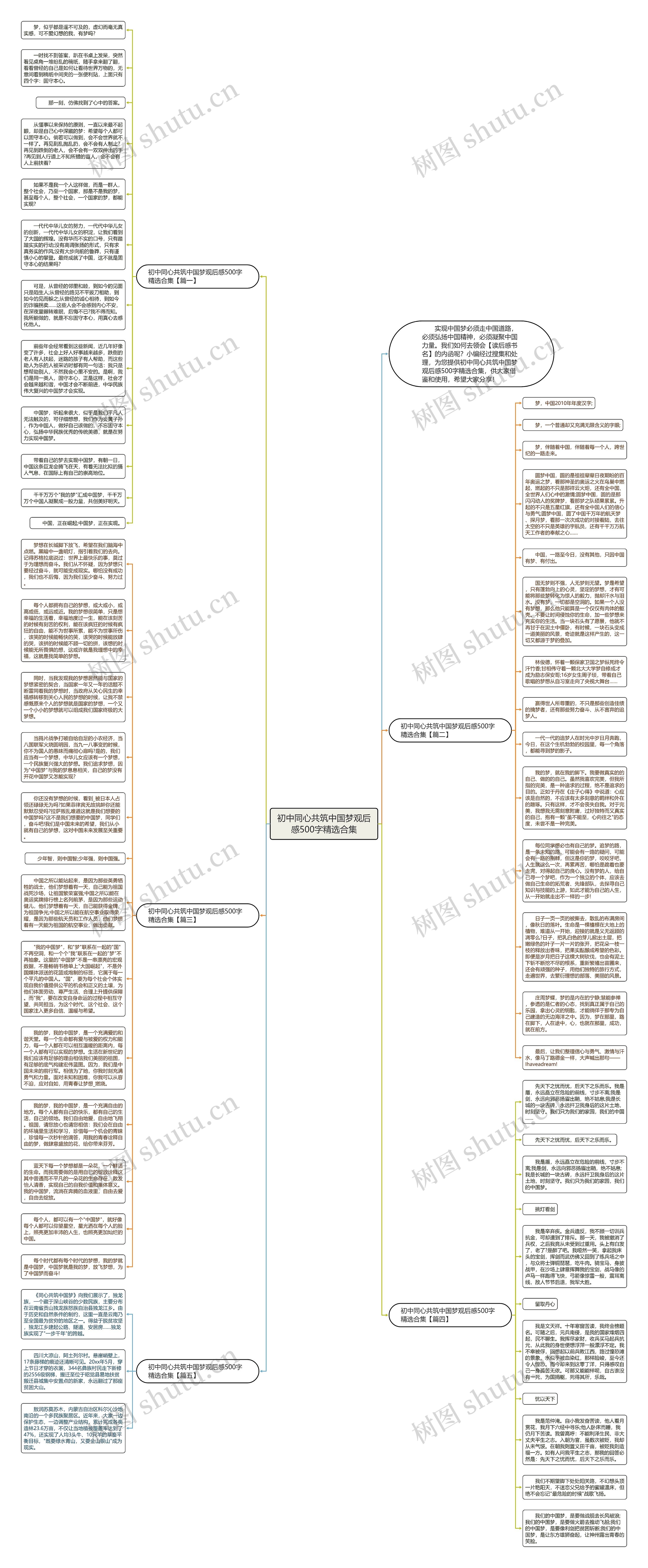 初中同心共筑中国梦观后感500字精选合集思维导图