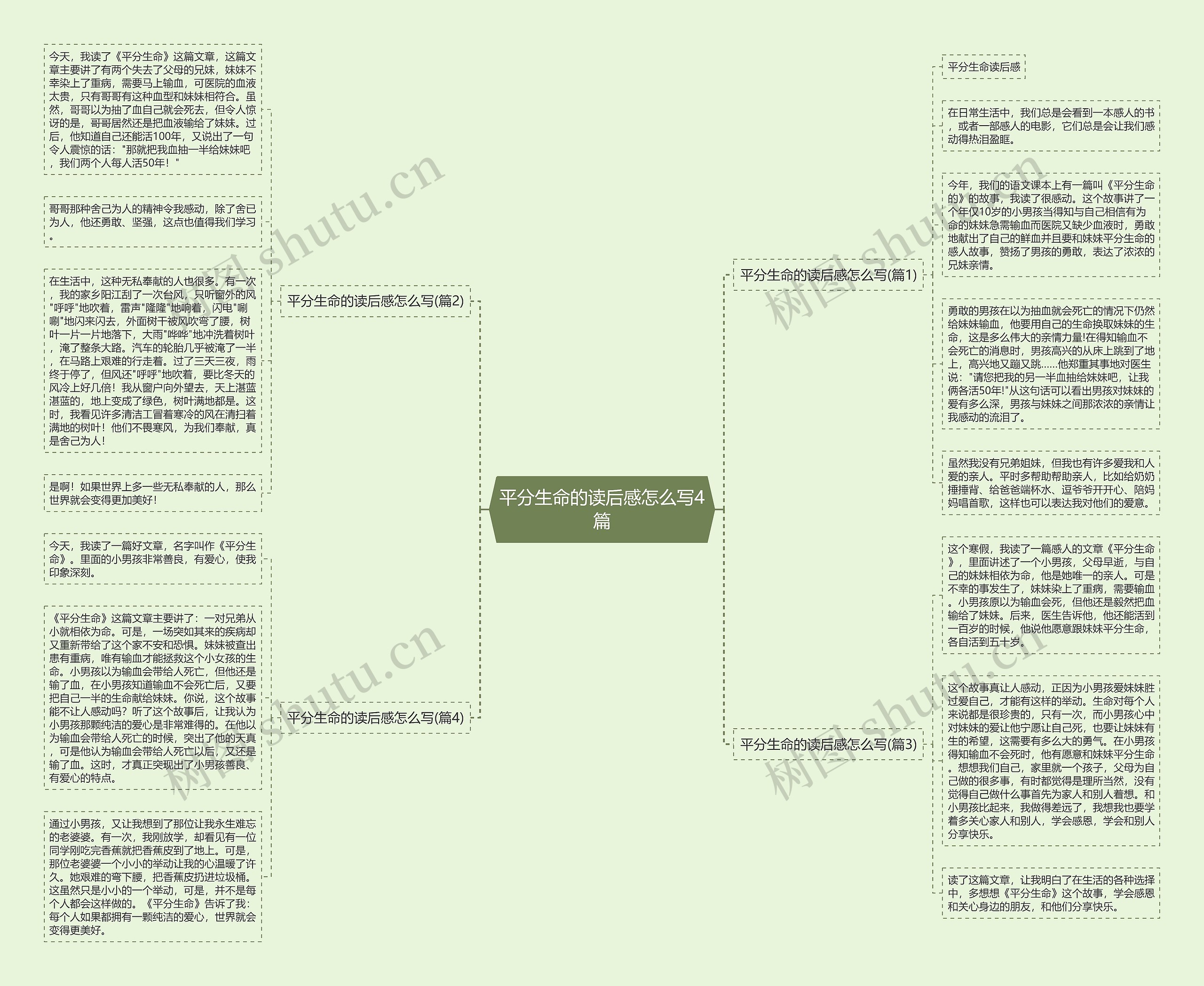 平分生命的读后感怎么写4篇思维导图