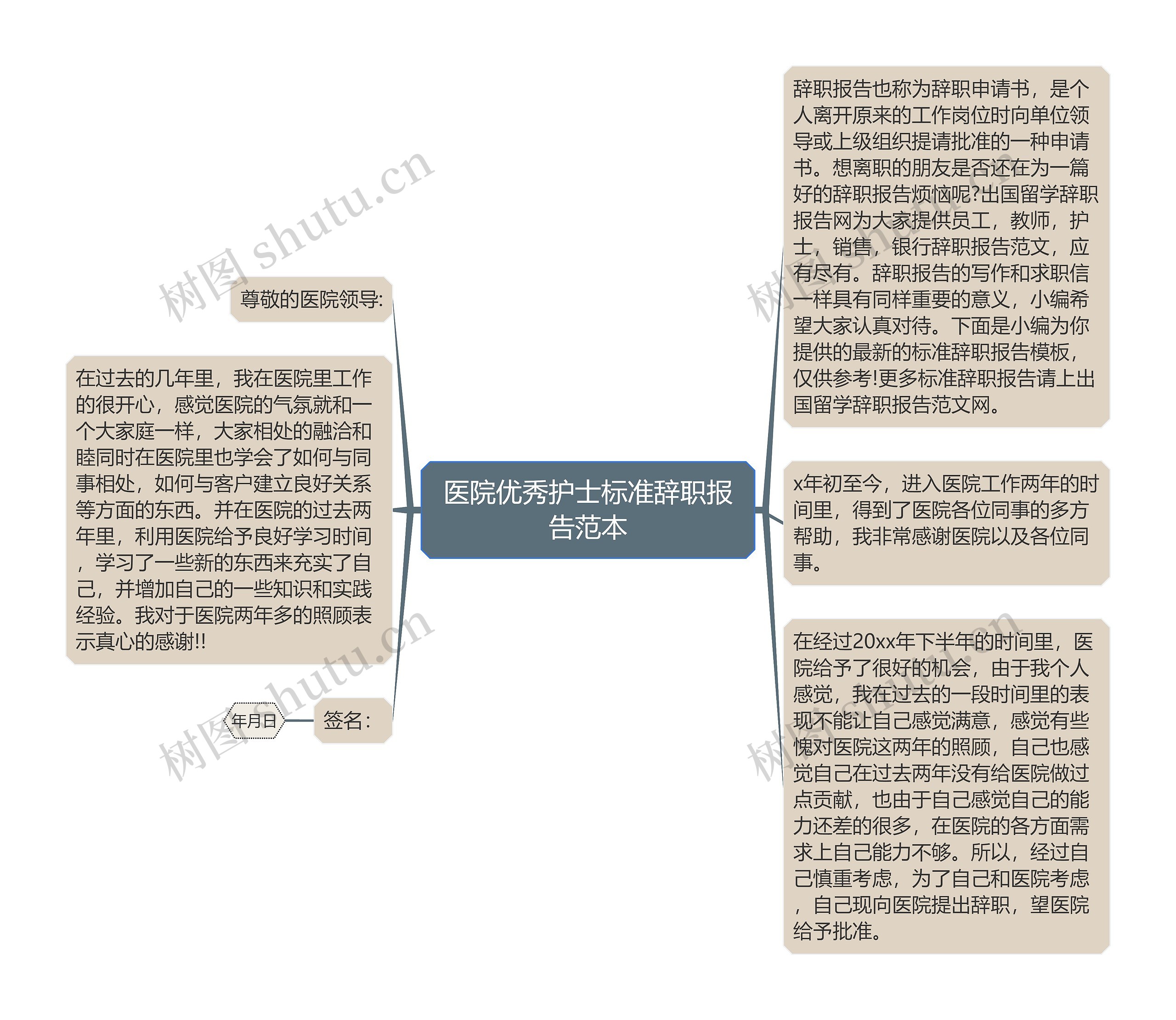 医院优秀护士标准辞职报告范本思维导图