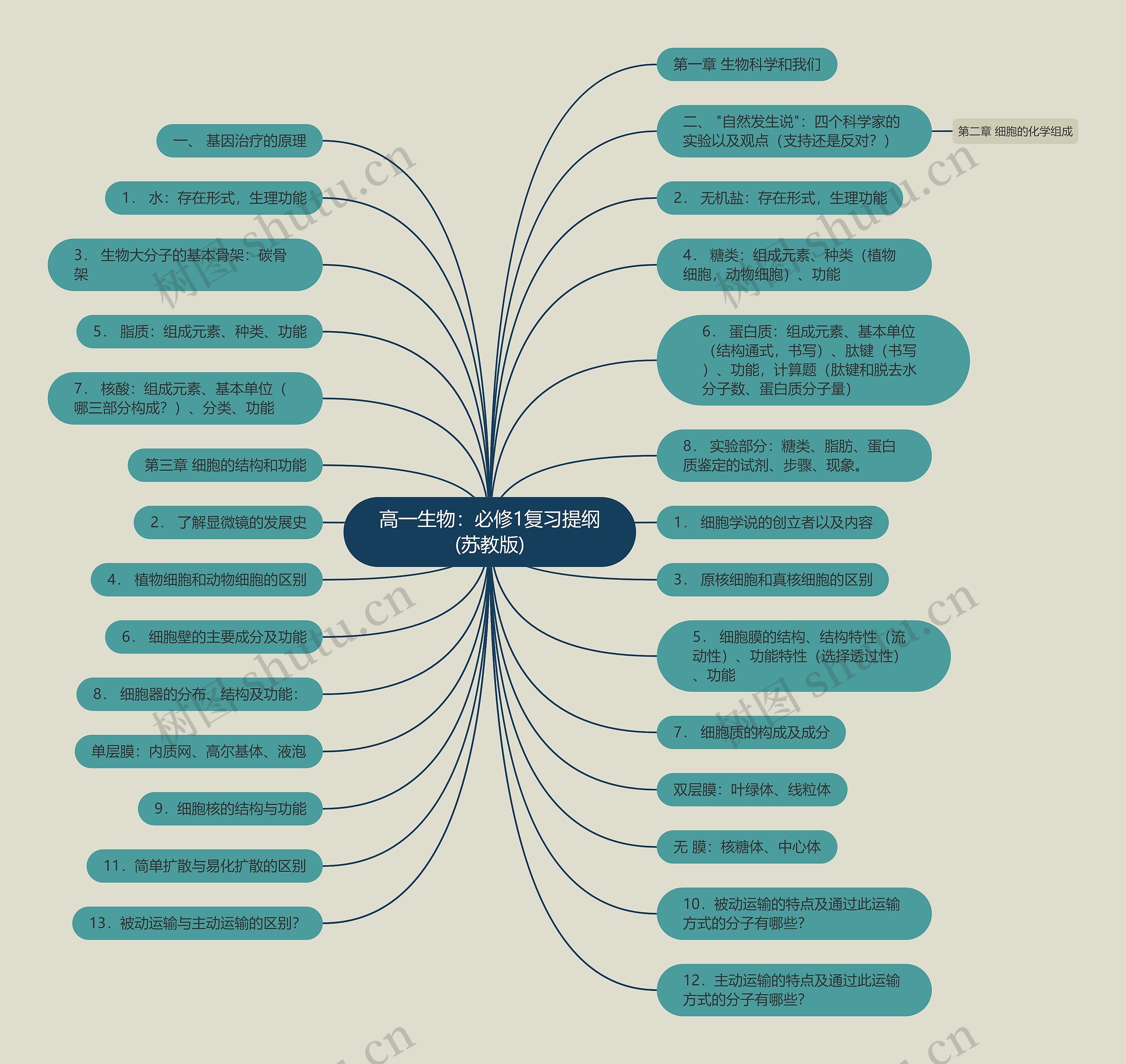 高一生物:必修1复习提纲(苏教版) 高一生物:必修1复习提纲(苏教版)