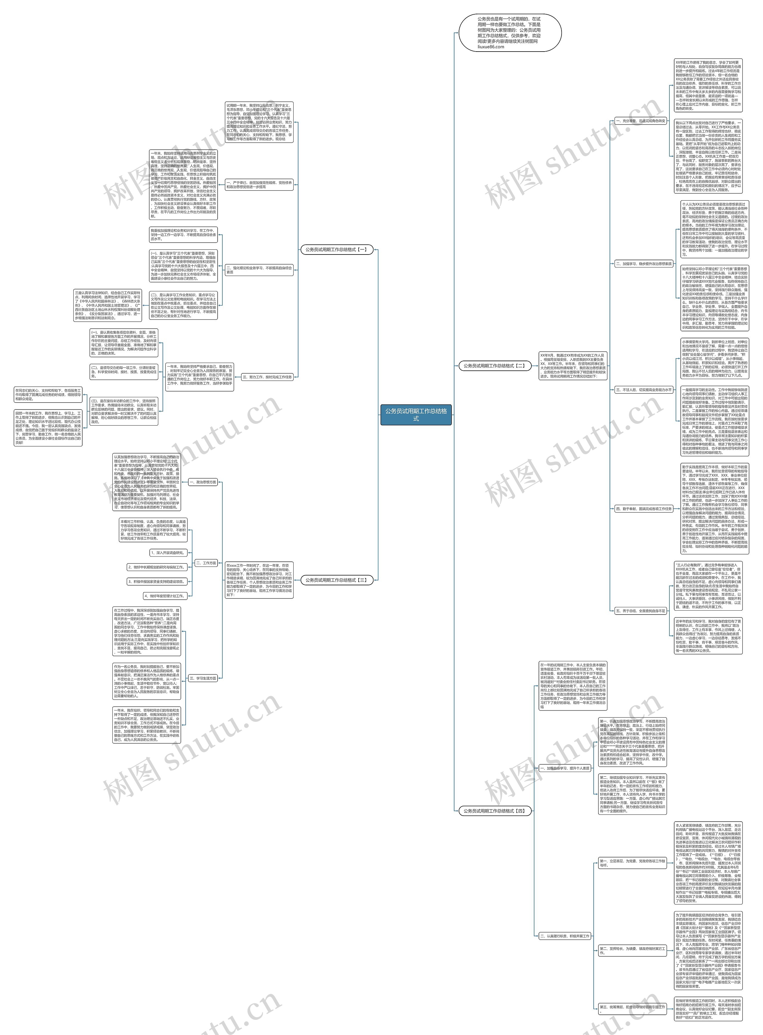 公务员试用期工作总结格式思维导图