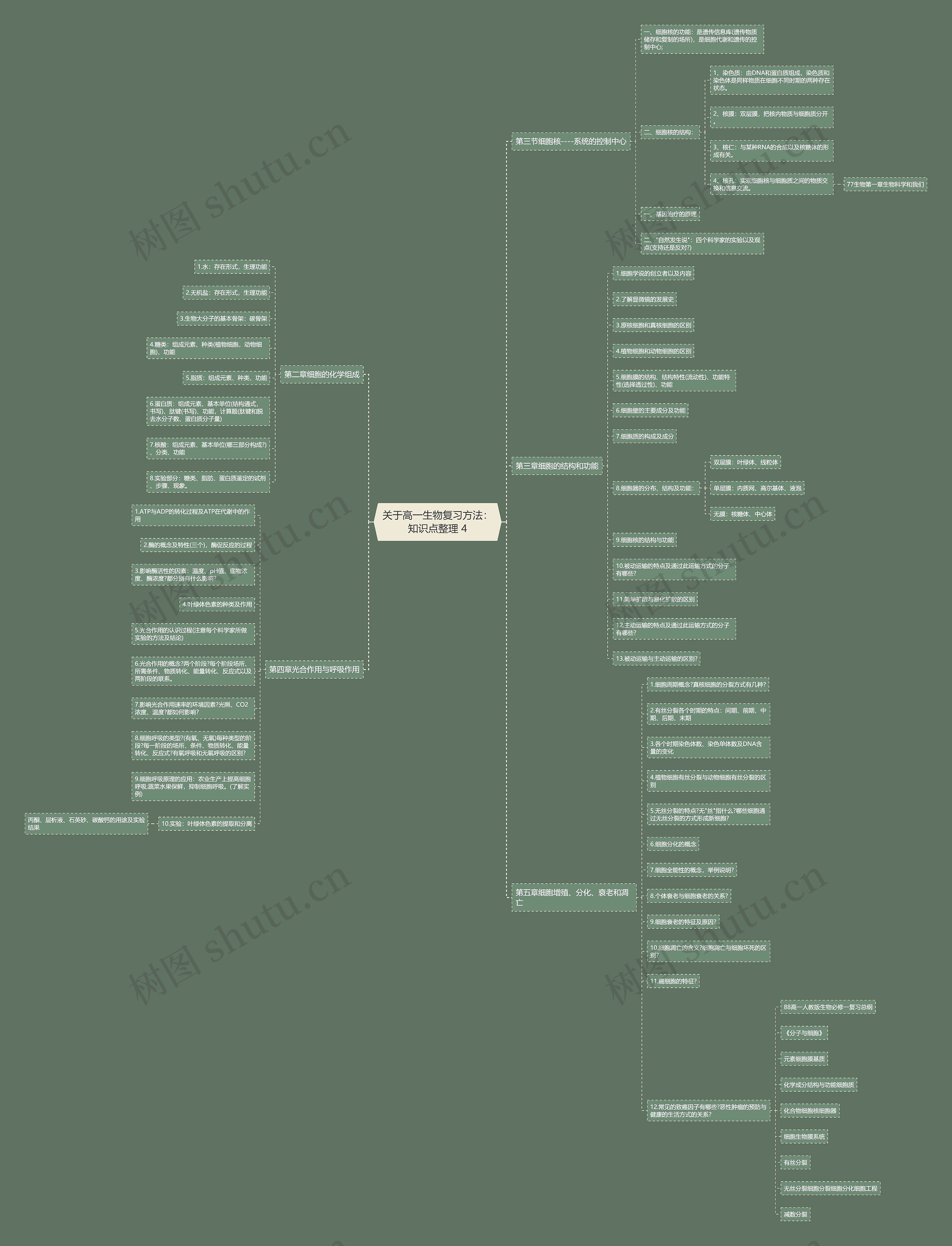 关于高一生物复习方法：知识点整理 4思维导图