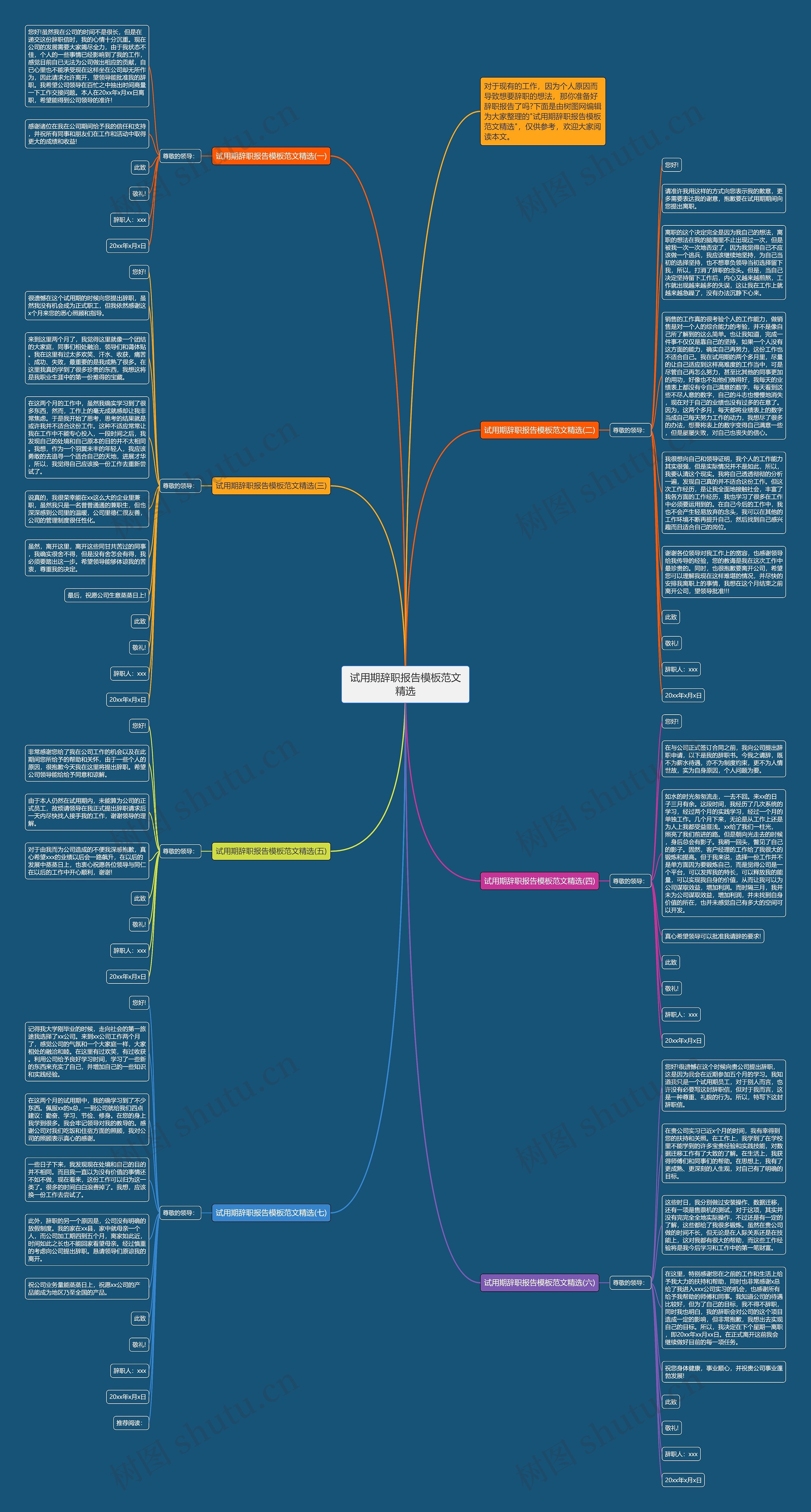 试用期辞职报告范文精选思维导图