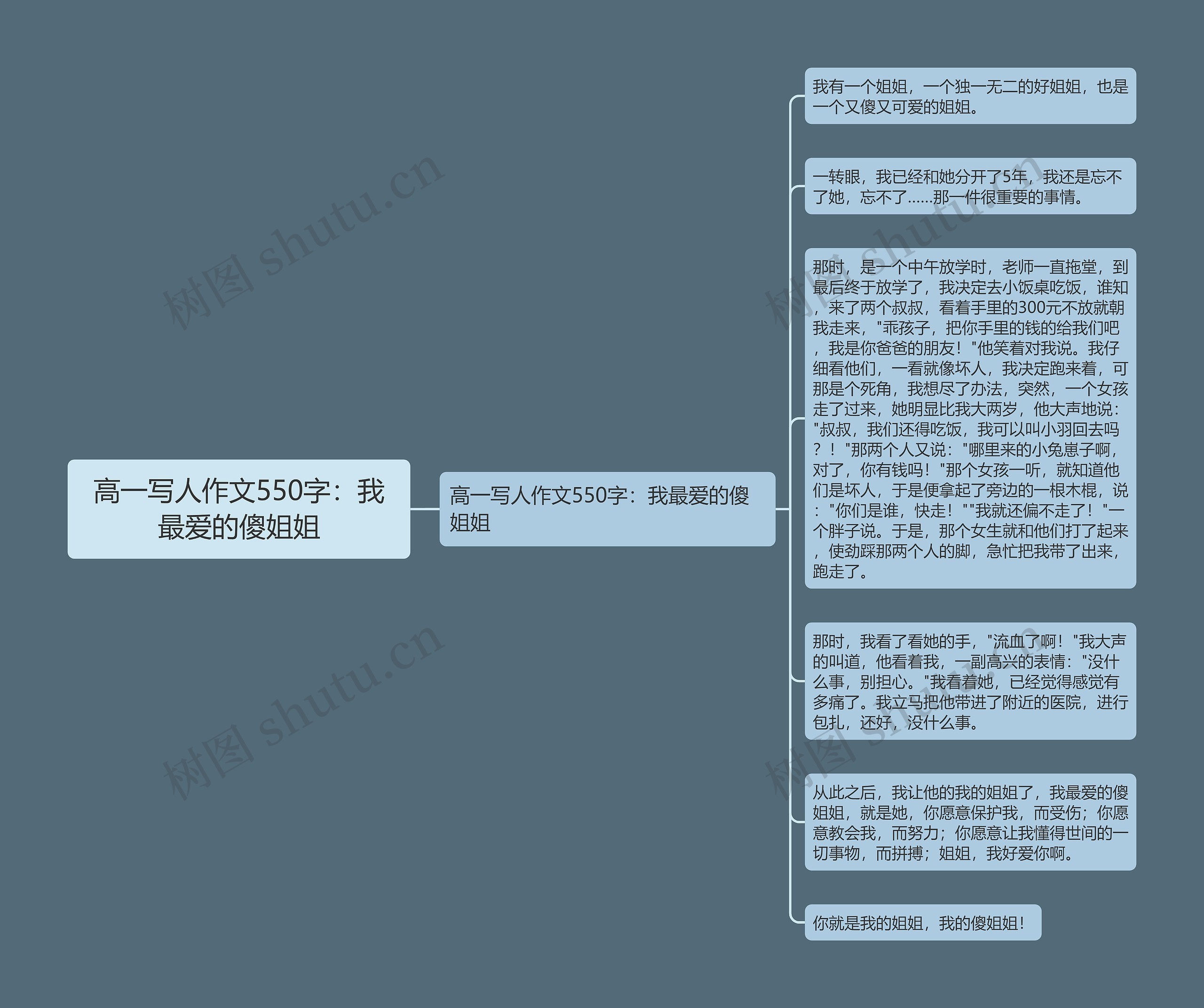 高一写人作文550字：我最爱的傻姐姐思维导图