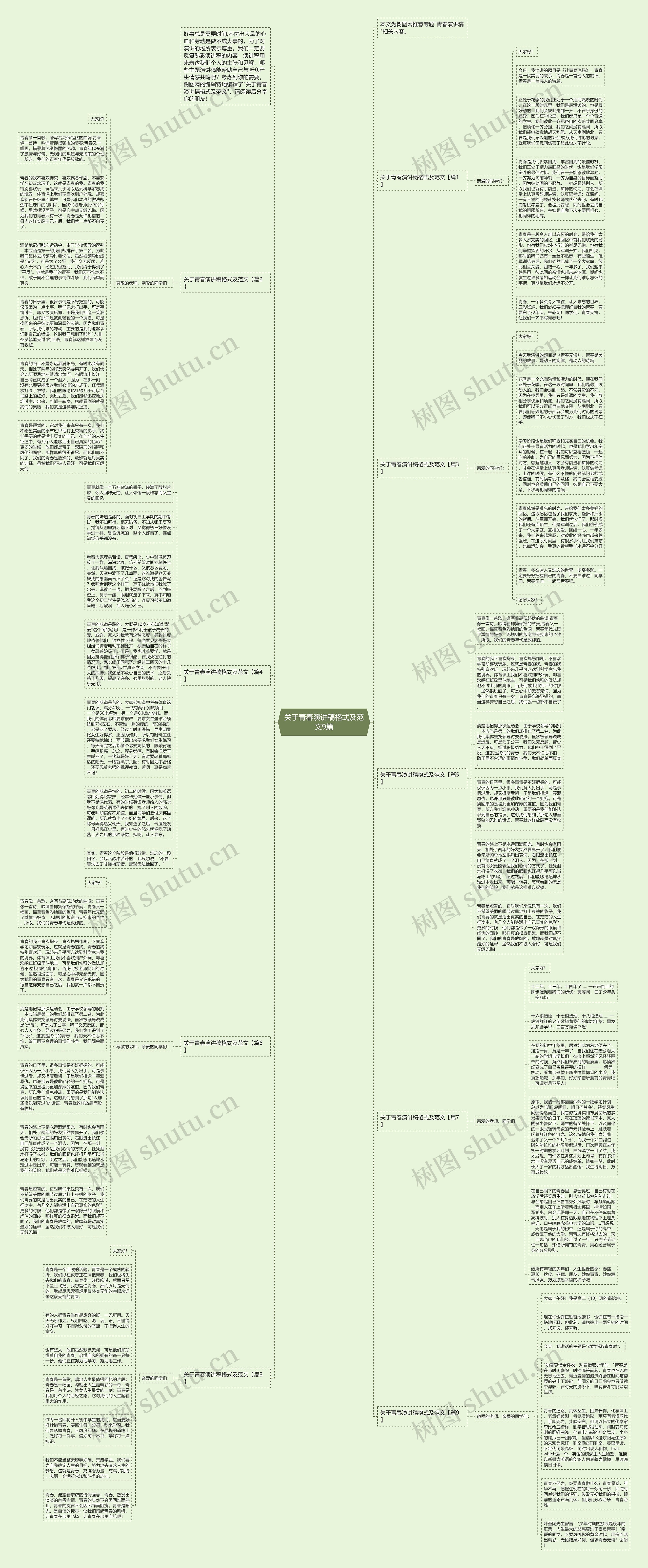 关于青春演讲稿格式及范文9篇思维导图