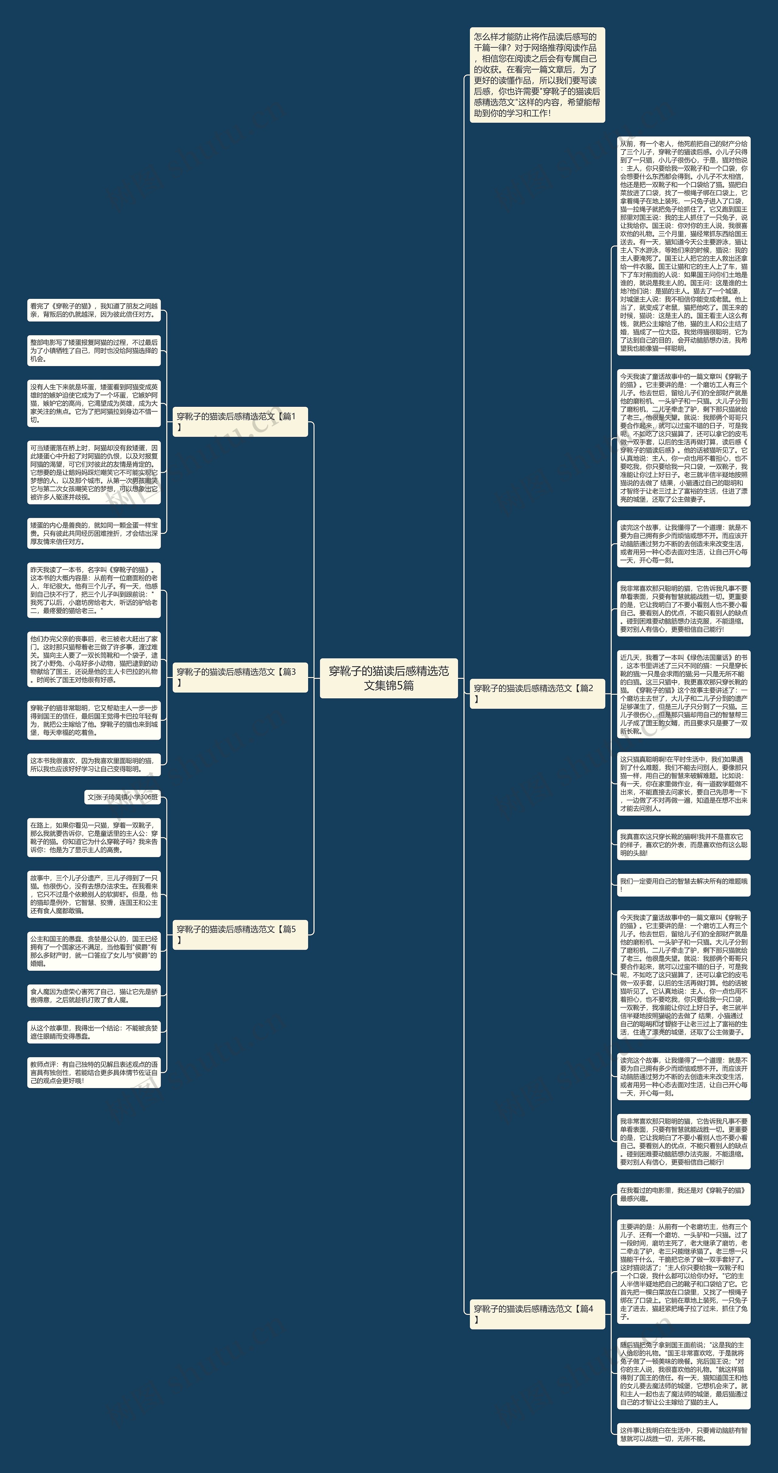 穿靴子的猫读后感精选范文集锦5篇思维导图