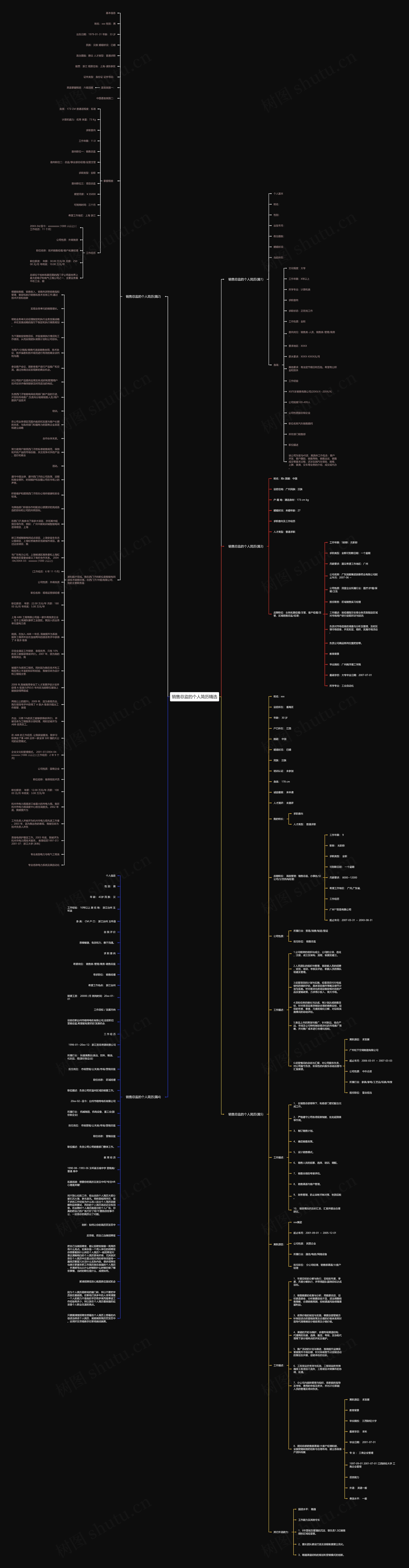 销售总监的个人简历精选思维导图
