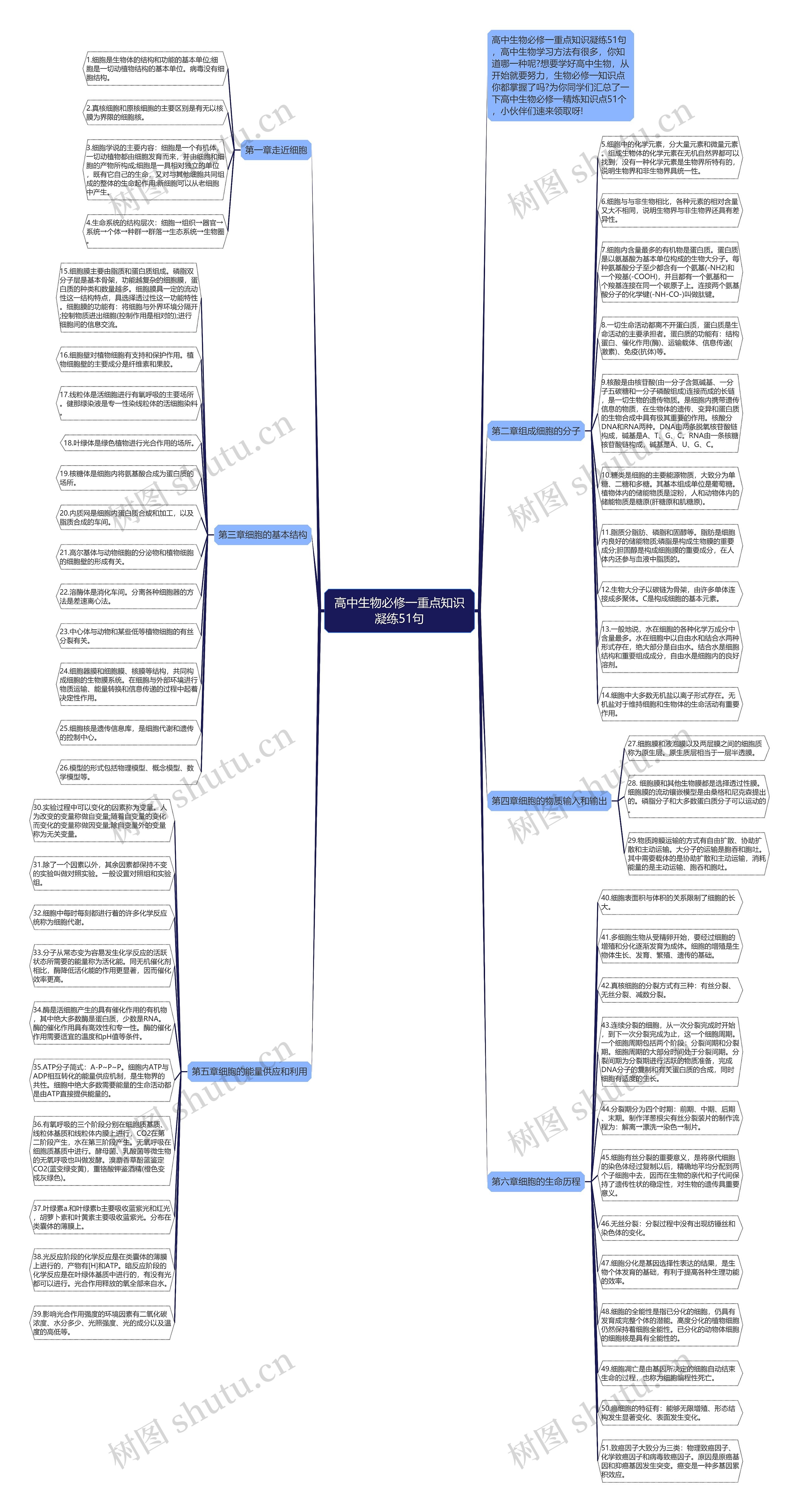 高中生物必修一重点知识凝练51句思维导图高清图 高中生物必修一重点知识凝练51句思维导图