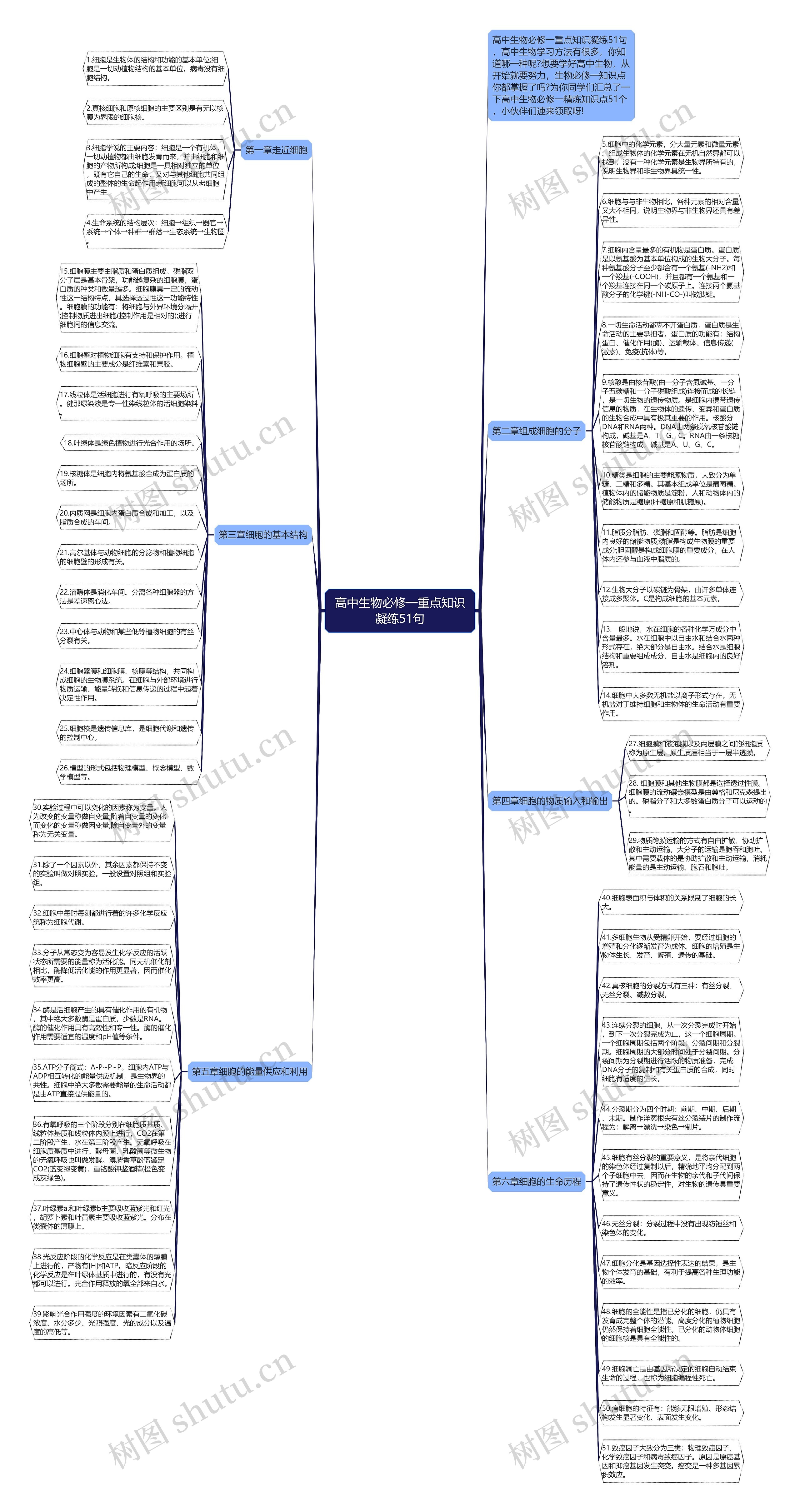 高中生物必修一重点知识凝练51句思维导图