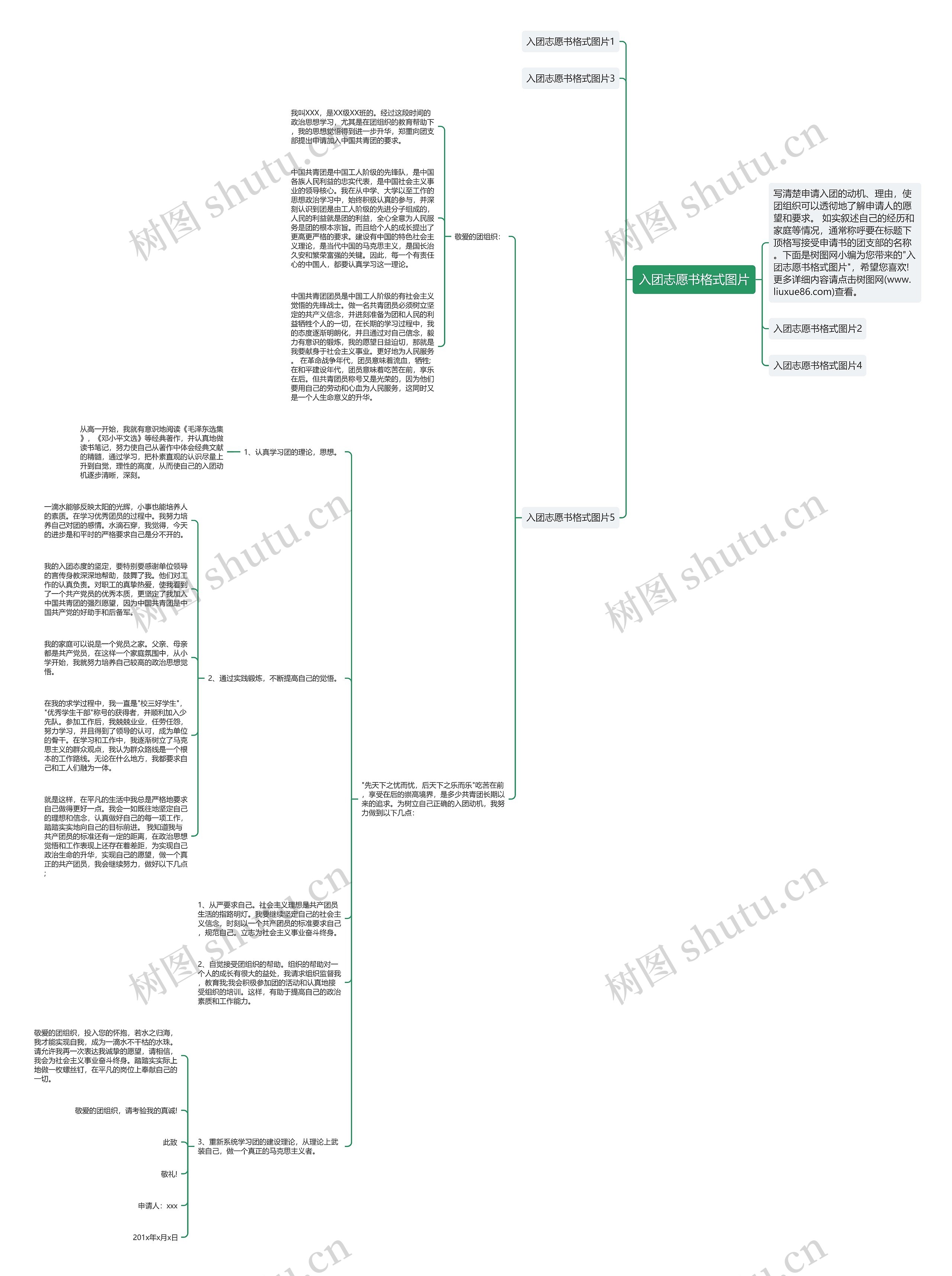 入团志愿书格式图片思维导图