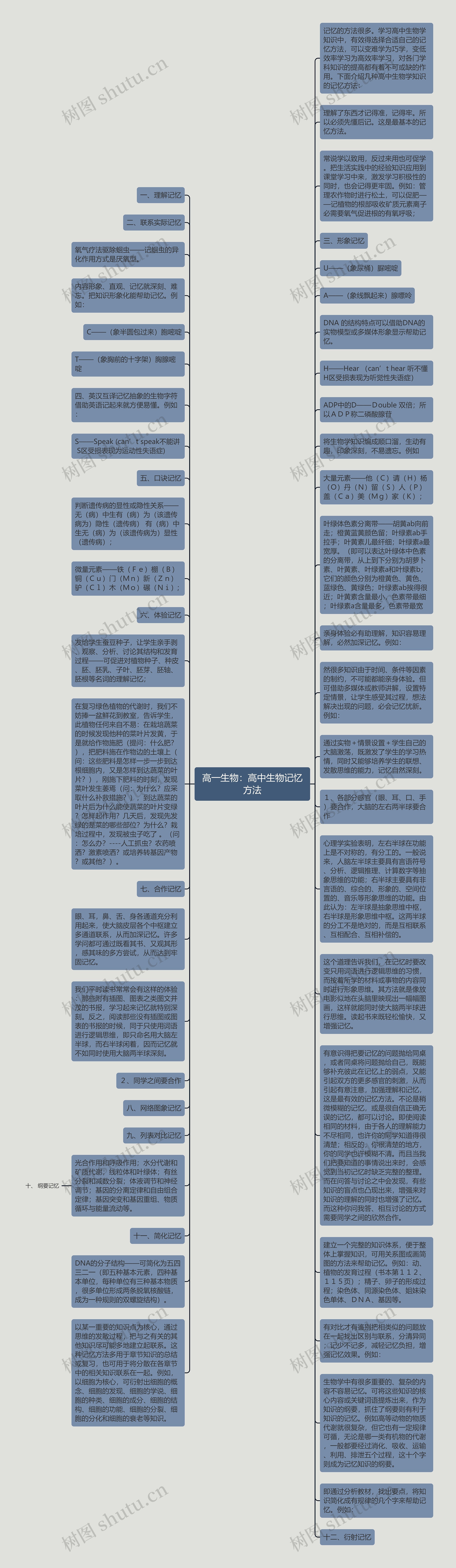 高一生物：高中生物记忆方法