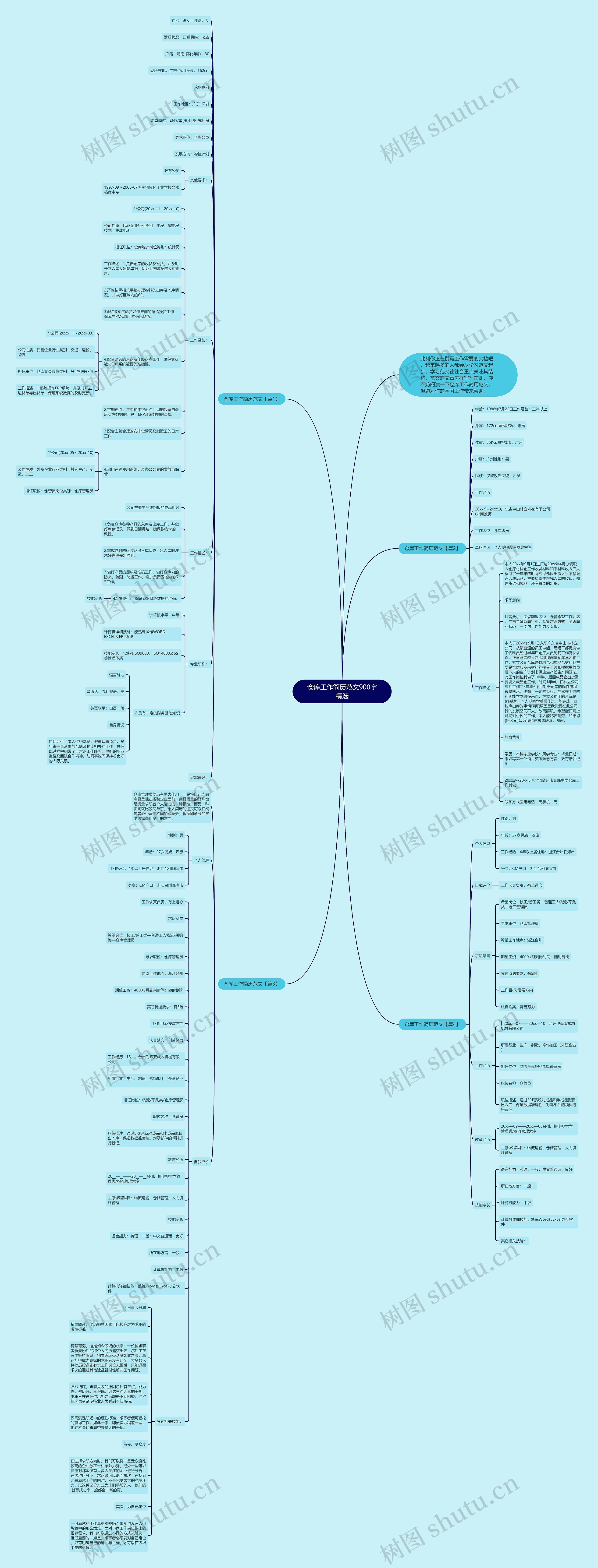仓库工作简历范文900字精选思维导图