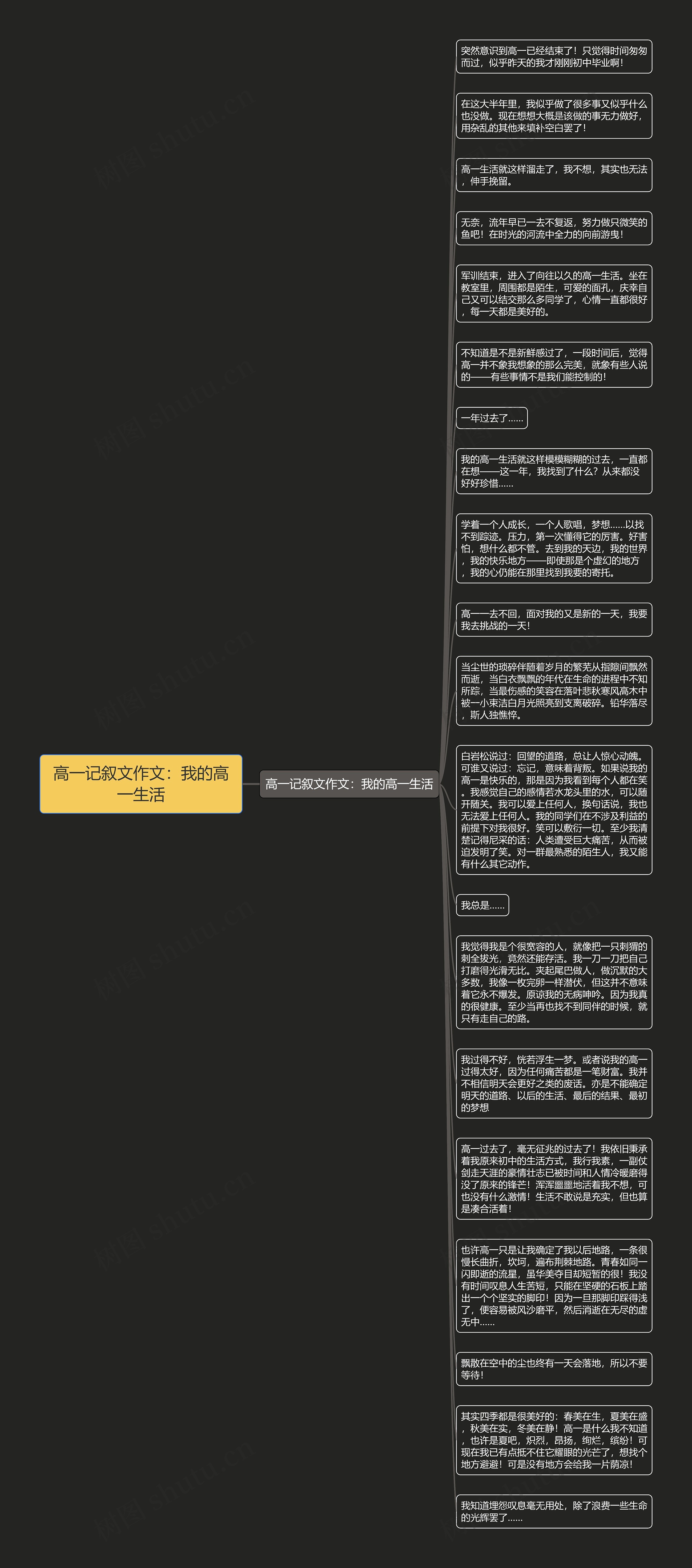 高一记叙文作文：我的高一生活思维导图