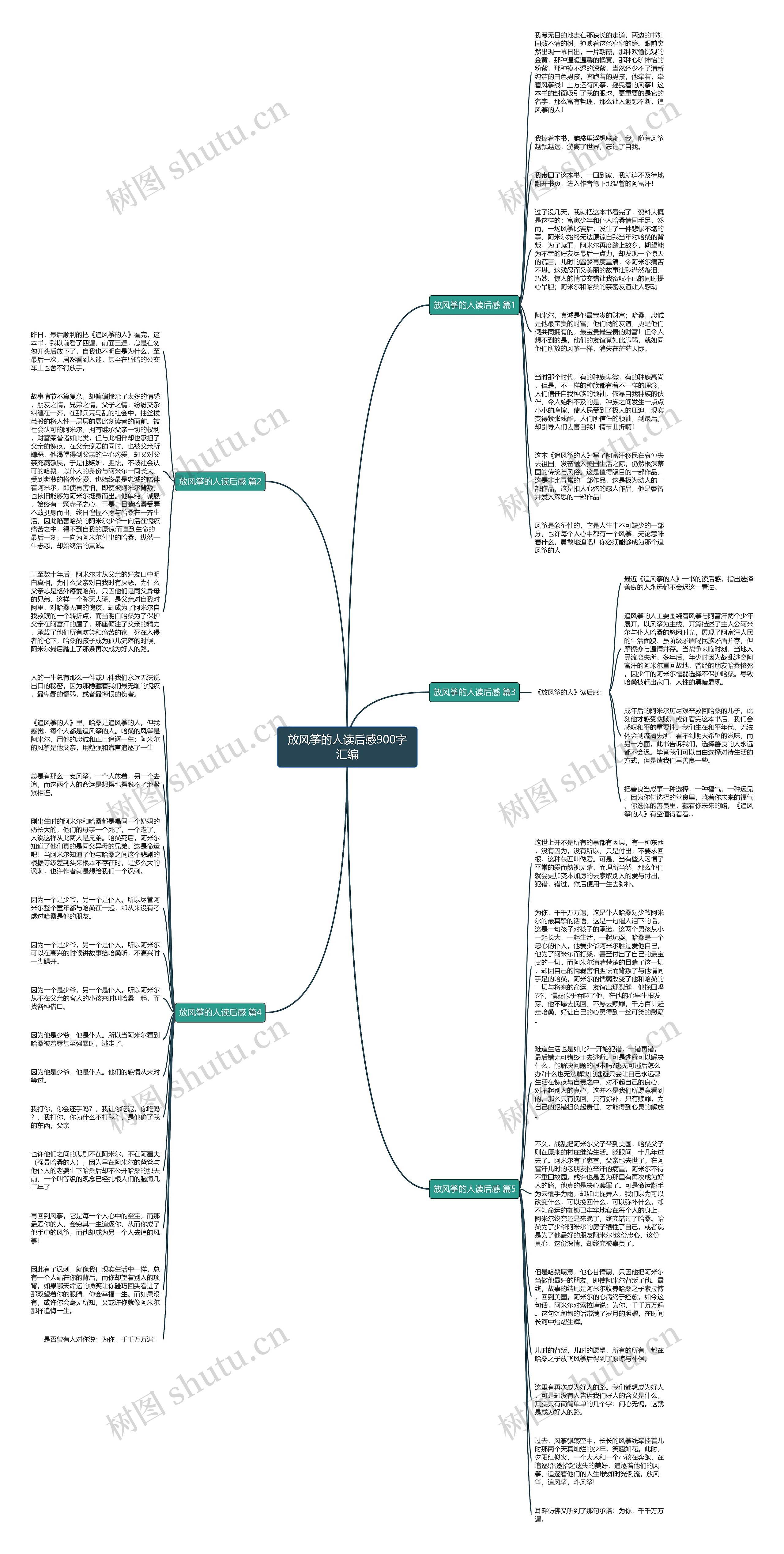 放风筝的人读后感900字汇编思维导图