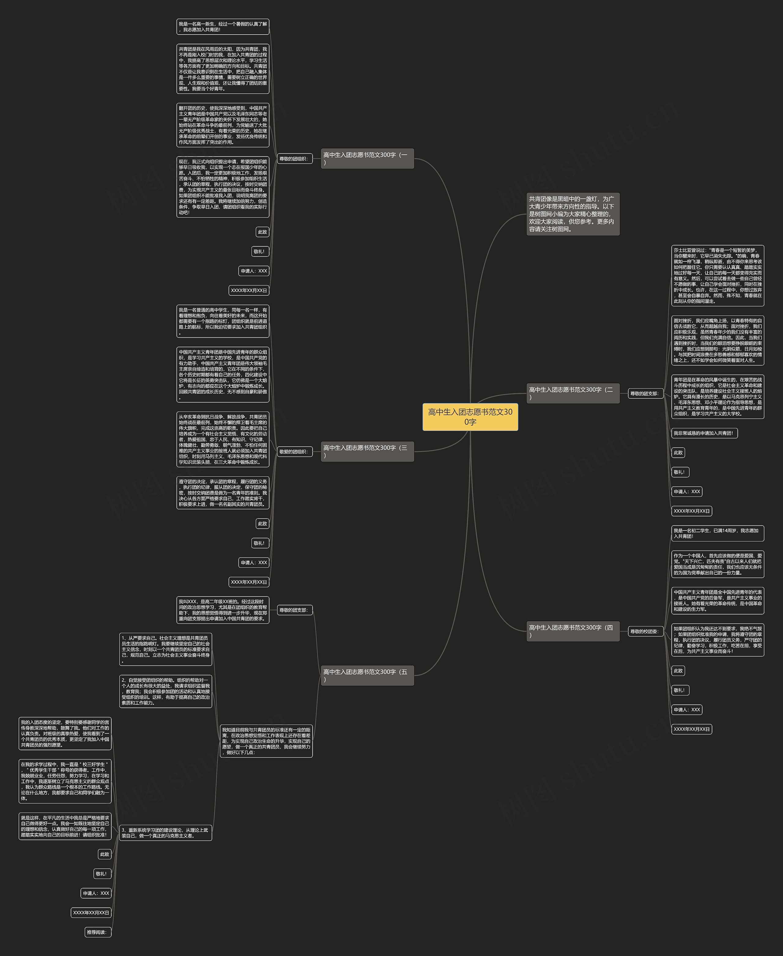 高中生入团志愿书范文300字思维导图